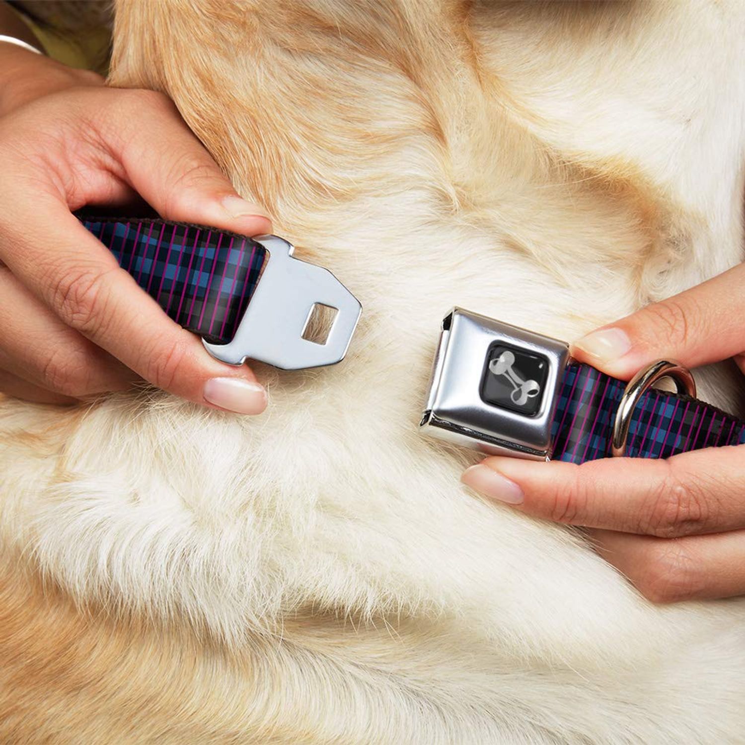 Buckle-Down Seatbelt Buckle Dog Collar - Buffalo Plaid Abstract White/Black/Turquoise - 1.5" Wide - Fits 16-23" Neck - Medium