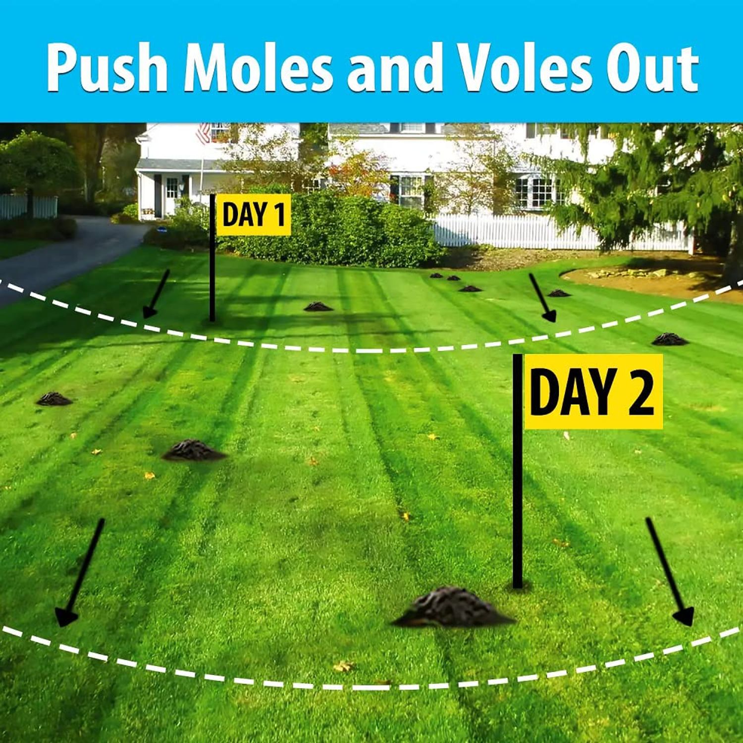 Nature’s Mace Mole and Vole MACE, 5 Gallon Castor Oil Concentrate, Outdoor Lawn & Garden Mole Control, Mole Remover, Vole Repellent Outdoor, Castor Oil for Moles, Stop Tunneling, Pet & Plant Safe