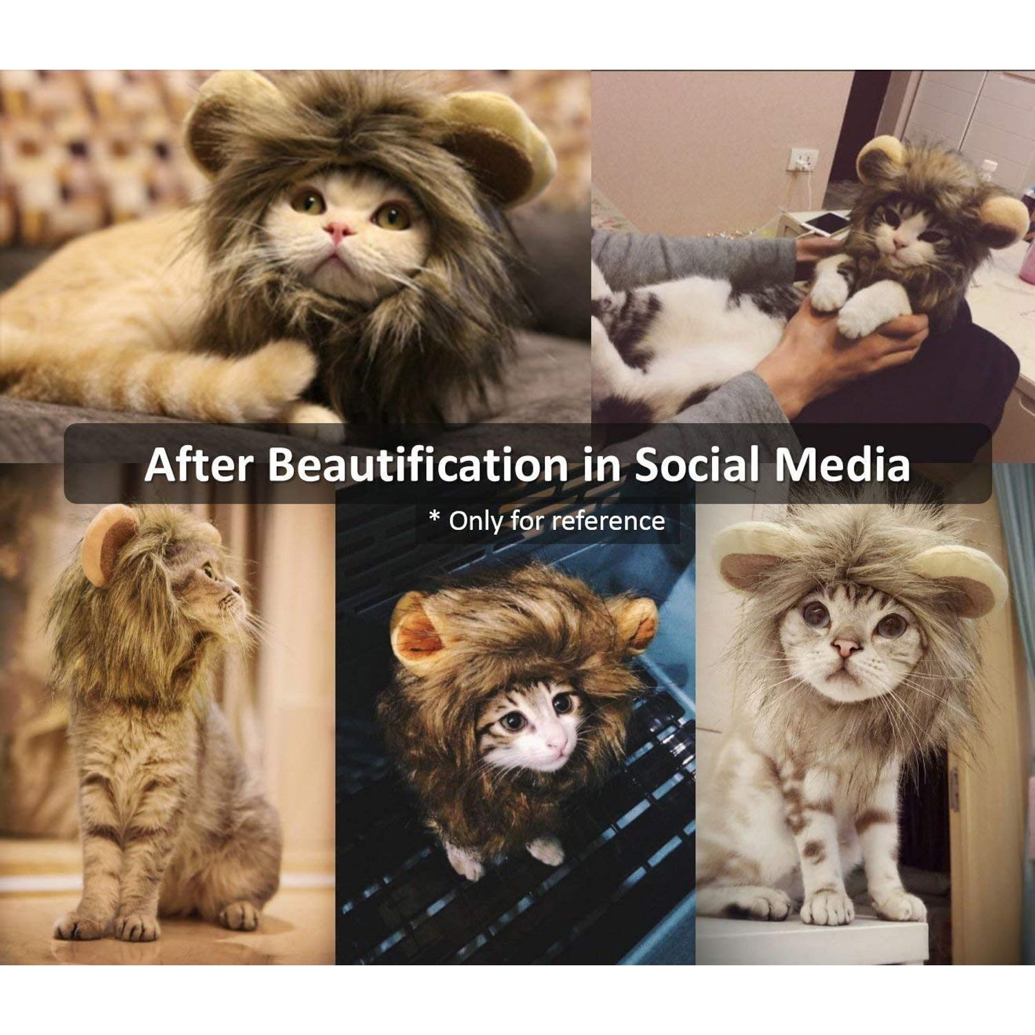Cat Lion Mane Halloween Pet Costume Kitten Outfits Party Dress Up Apparel Kitty and Cat Costumes (Cat Lion Mane)