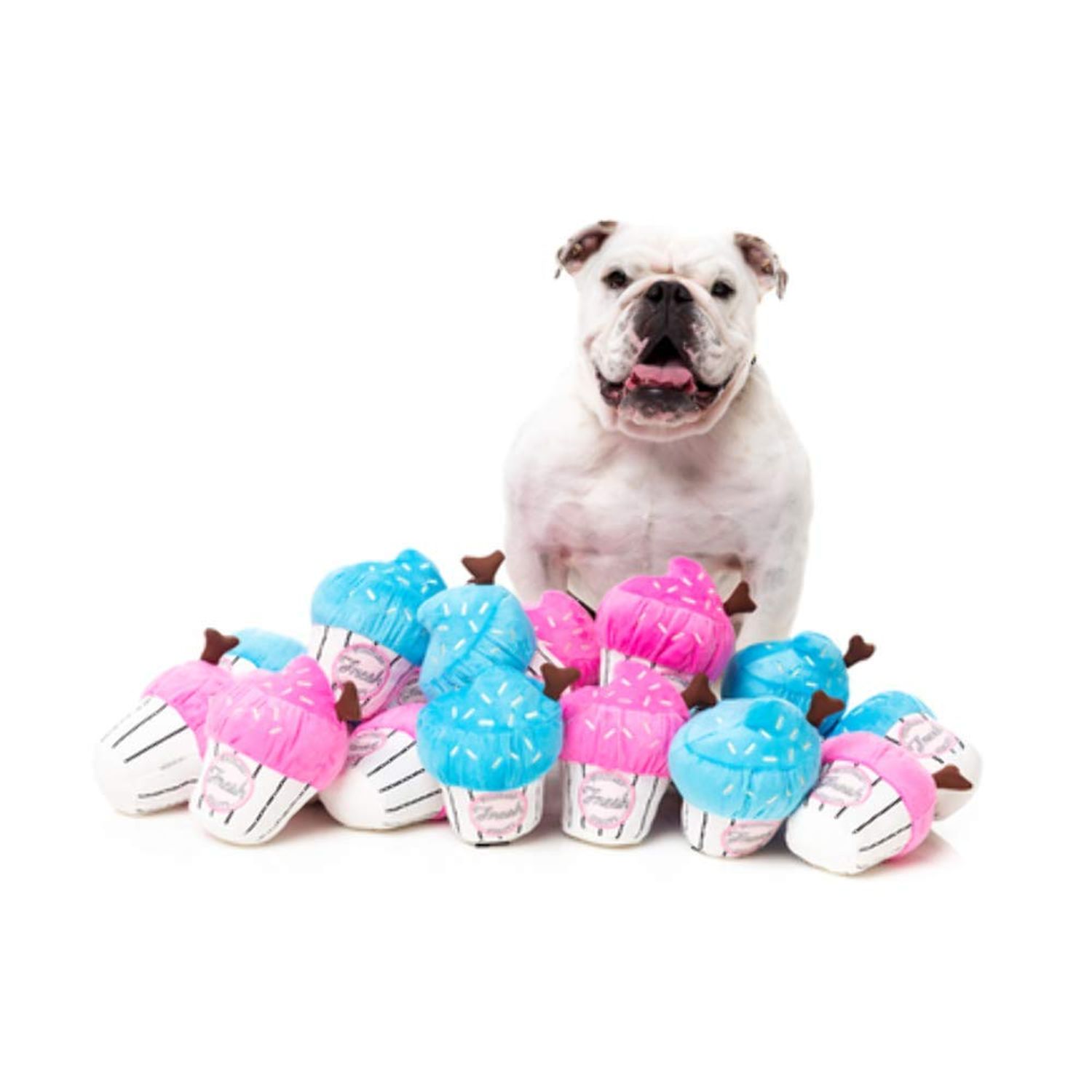 Fuzzyard Blue Cupcake Dog Toy Small Plush with Squeaker Non Toxic Washable