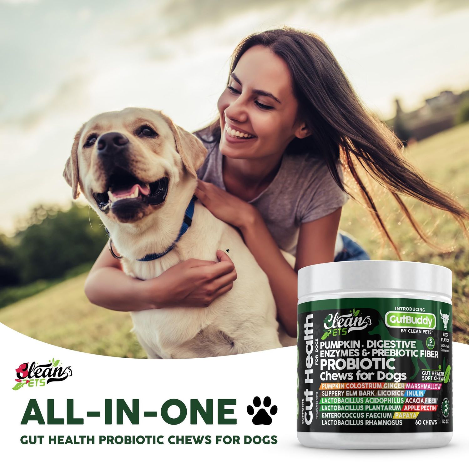 Clean Pets Probiotics for Dogs with Pumpkin, Colostrum, Digestive Enzymes, Ginger, Slippery Elm, Licorice, Inulin Fiber & More | Beef Flavor Soft Chews for Gut Health and Digestion Dog Supplement