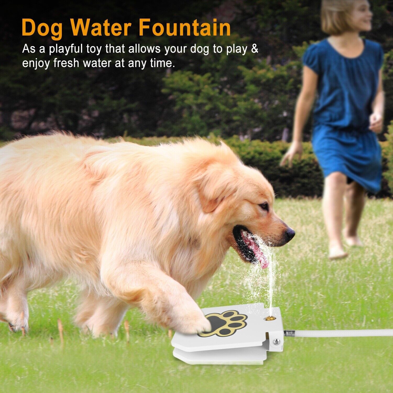 Dog Water Fountain Step-on Activated Sprinkler Toy for Drinking Fresh Water