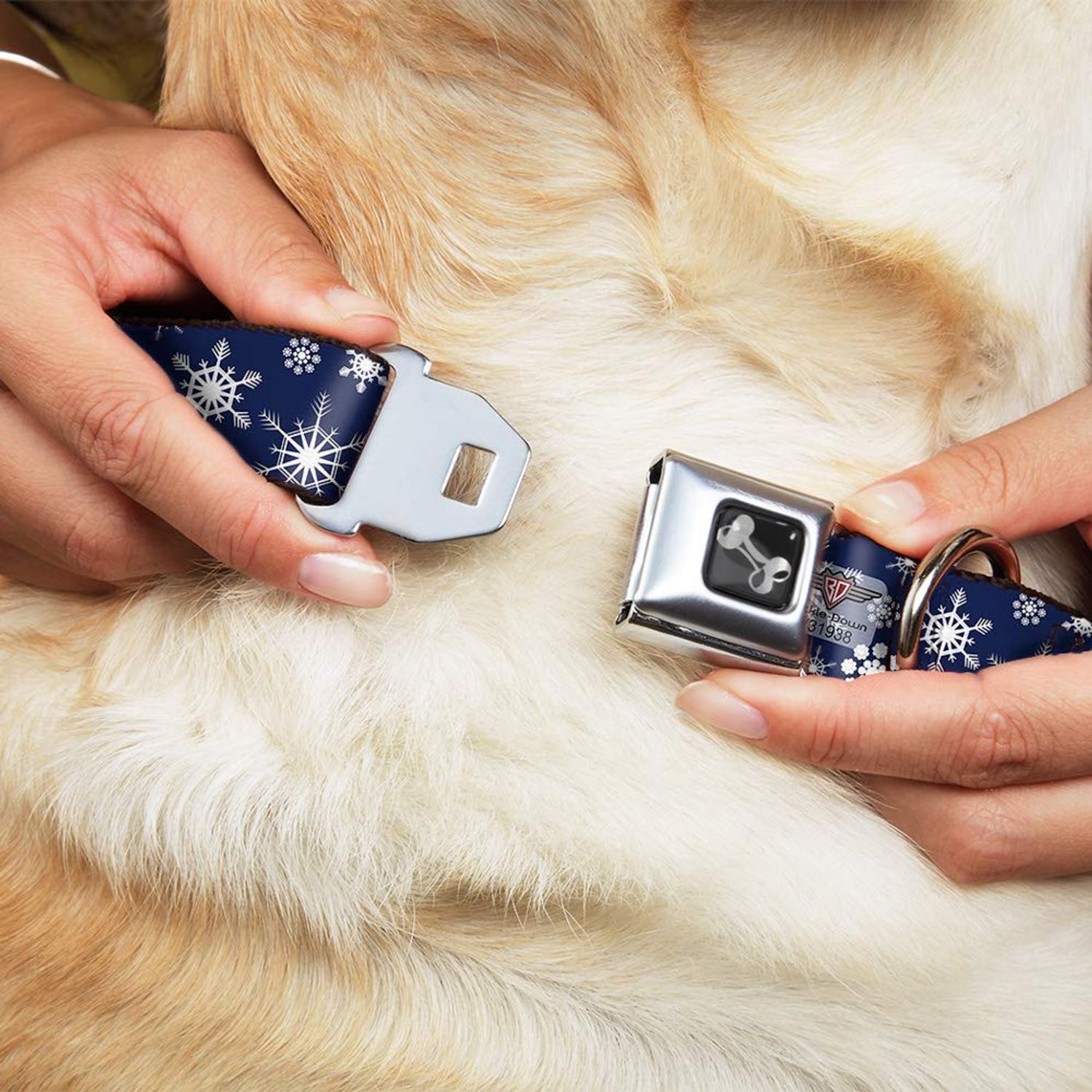 Dog Collar Seatbelt Buckle Snowflakes Blue White 15 to 26 Inches 1.0 Inch Wide