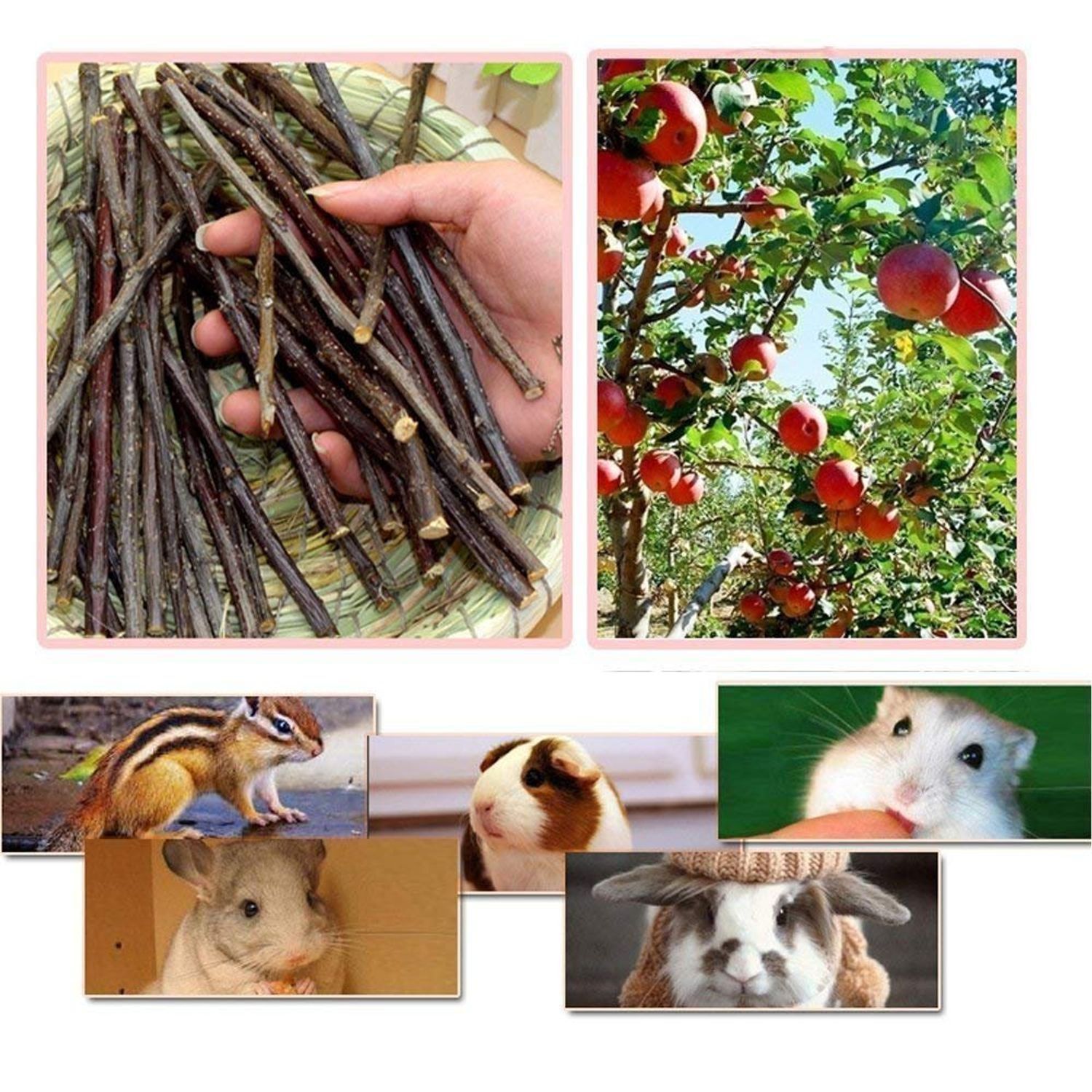 TAI JI 500g(18oz) Apple Sticks Small Animals Chew Toys for Chinchillas Guinea Pigs Rabbits Hamsters Squirrels