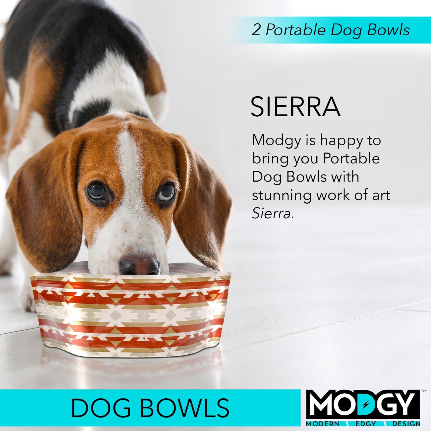 MODGY Collapsible Dog Food Bowl Dish, Reusable, Plastic Travel Size, Portable Container, Camping, Hiking, Car, Road Trip Essential, Cute Pattern, Sierra, Pack of 2