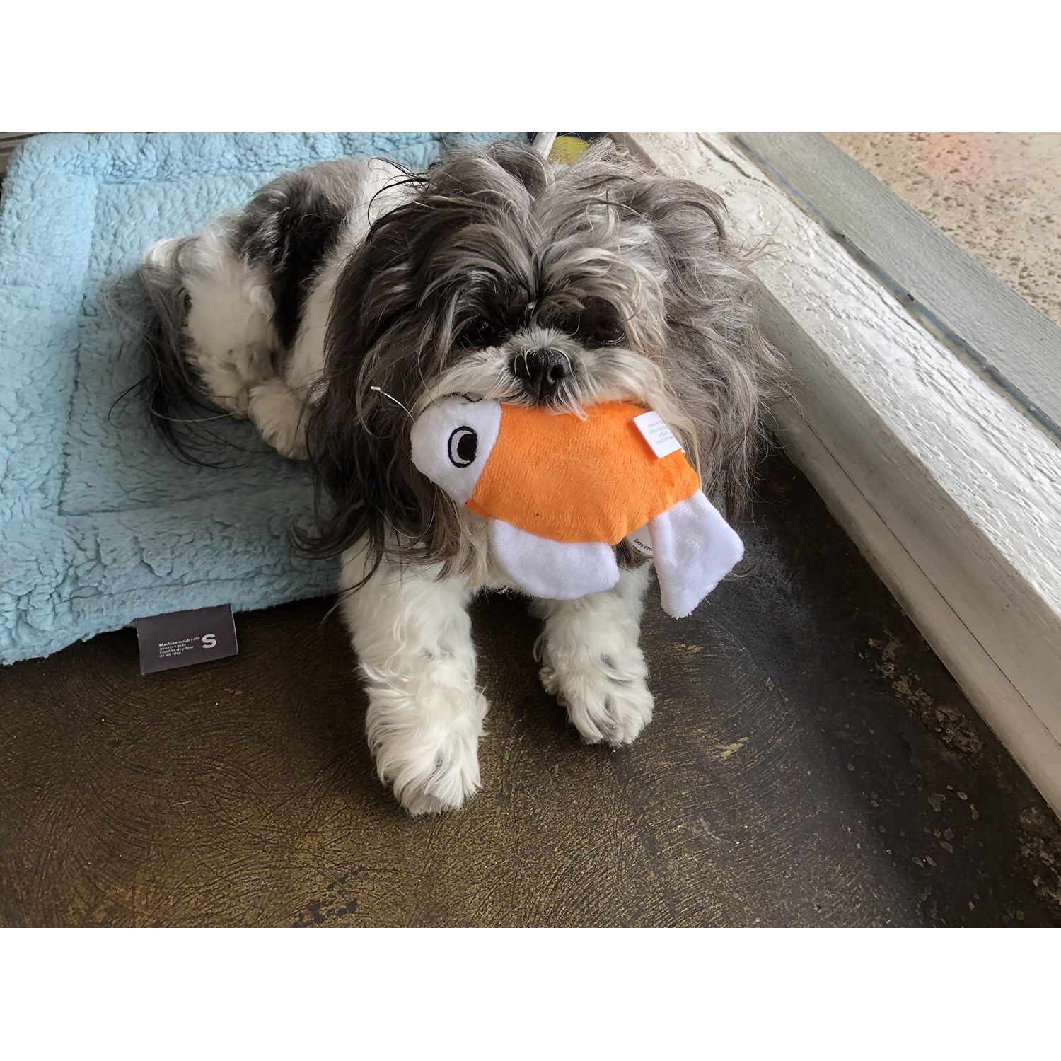 Glory To Dog TinyToy Gold Fish Small Dog Toy