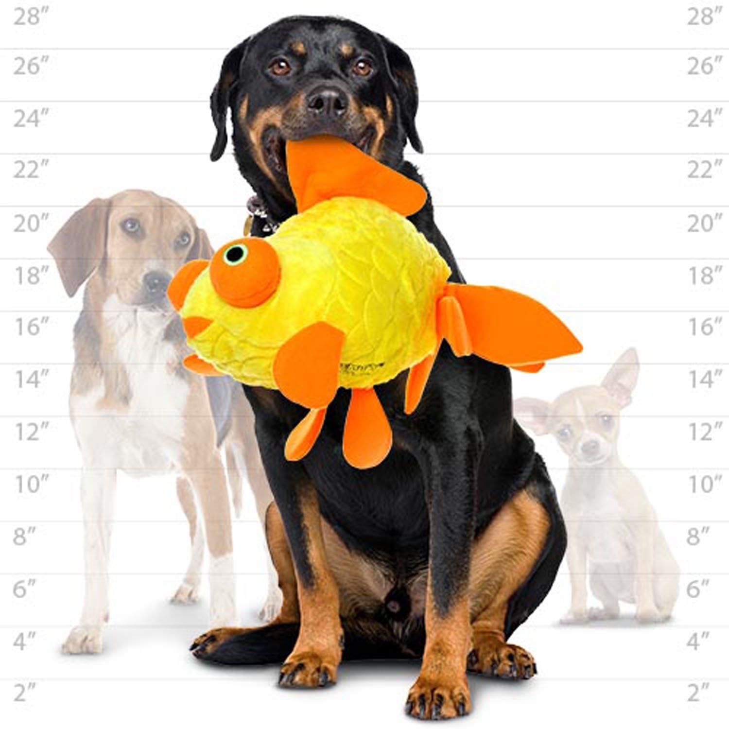 MIGHTY- Massive-Ocean-Goldfish-Squeaker-Multiple Layers. Made Durable, Strong & Tough. Interactive Play Dog Toy (Tug, Toss & Fetch). Machine Washable & Floats