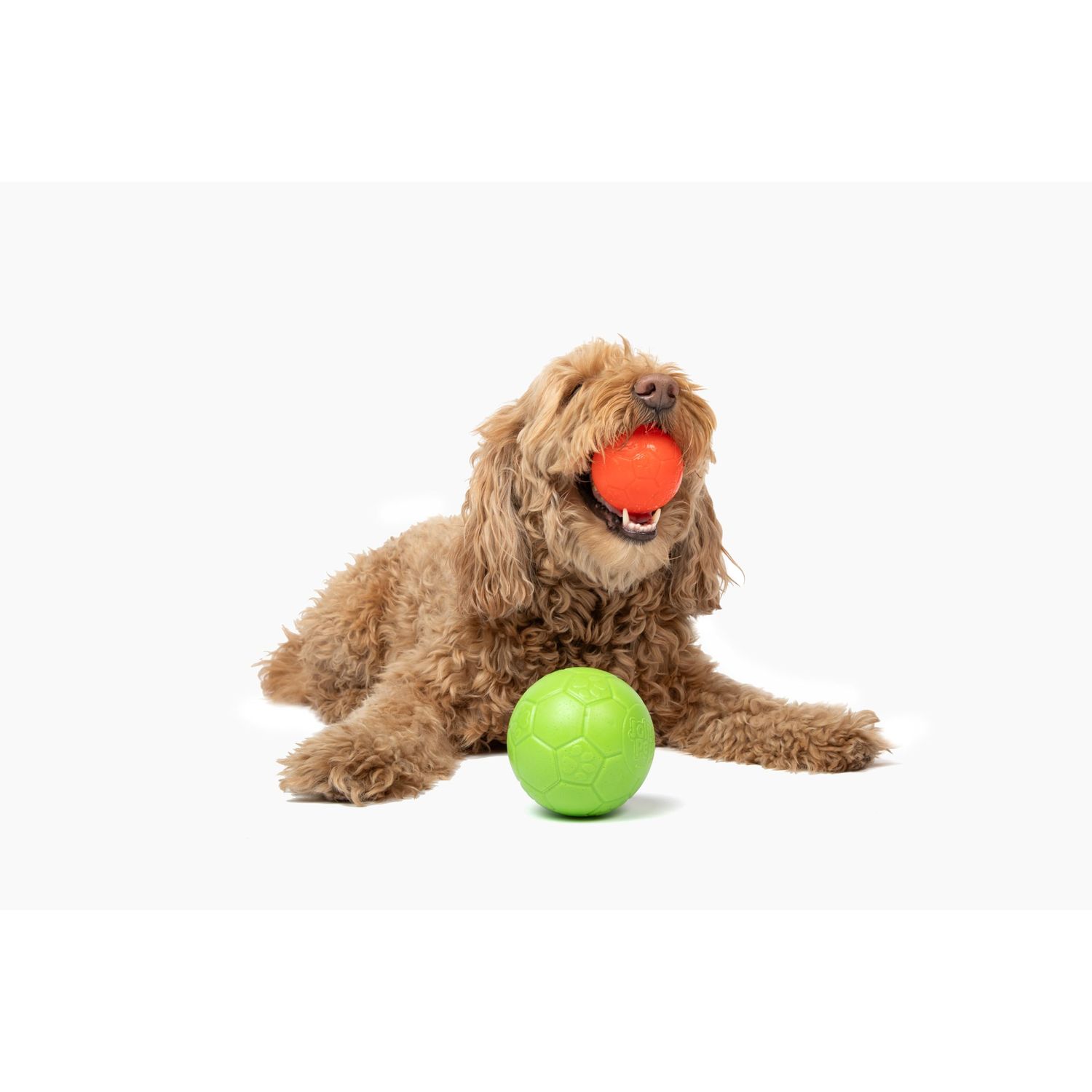 Jolly Pets Mini Jolly Soccer Ball; Floating-Bouncing Dog Toy; 3" Ocean Blue