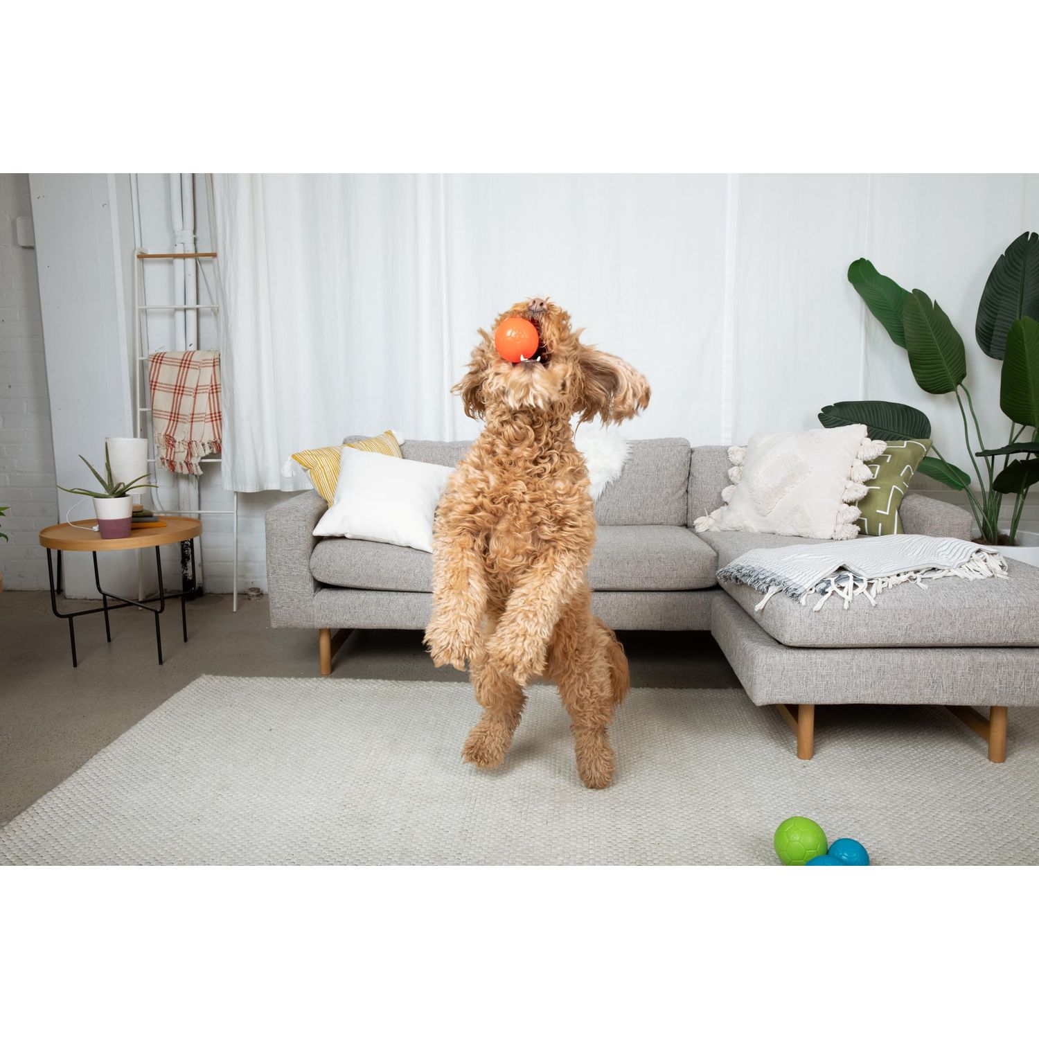 Jolly Pets Mini Jolly Soccer Ball; Floating-Bouncing Dog Toy; 3" Ocean Blue