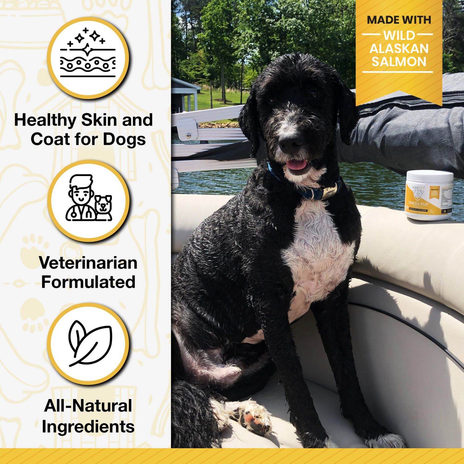 Pawlife Dog Fish Oil Supplements - 60 Omega 3 Fish Oil Dog Vitamins, Veterinarian Formulated Itching Relief for Dogs, Natural Omega 3 Fish Oil for Dogs, Dog Skin and Coat Supplement (Salmon Flavor)