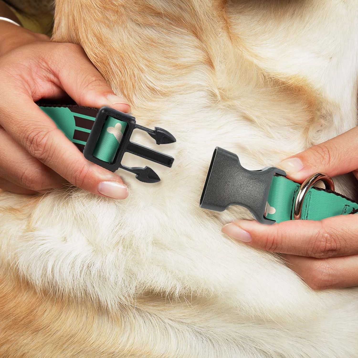 Buckle-Down PC-W30466-M Dog House & Bone Turquoise/Brown Plastic Clip Collar, Medium/11-17"