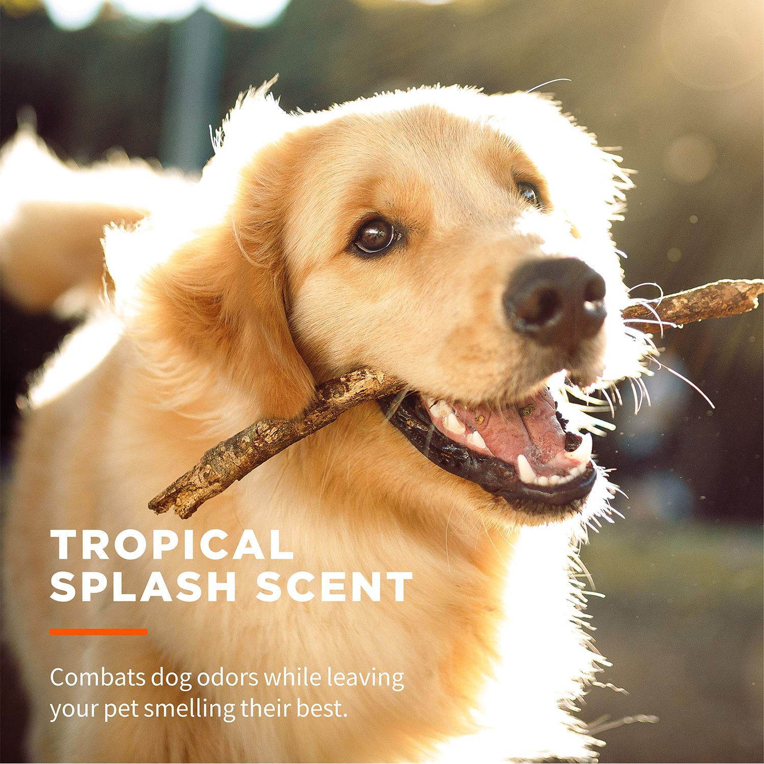 Wet Ones for Pets Paw & Tushie Dog Wipes with Chamomile | Dog Wipes for All Dogs in Tropical Splash Scent, Wipes with Wet Lock Seal | 30 Ct Pouch Dog Paw Wipes