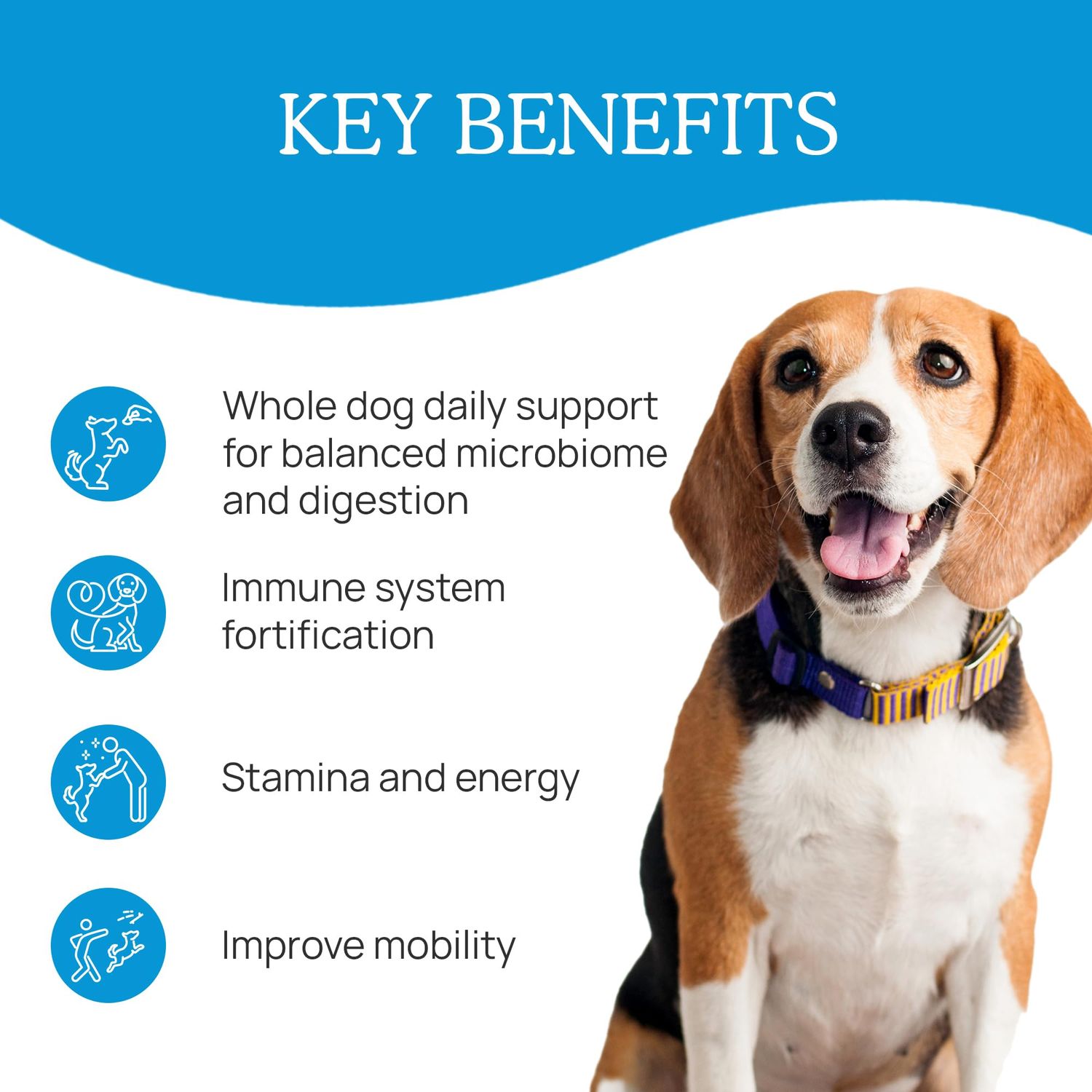 Whole Dog Health with Digestive and Immune Support - (2.65 oz) Bulk Mushroom Powder Supplement & Dog Vitamins with Real Mushrooms Lion's Mane, Cordyceps Mushroom, Turkey Tail, Reishi & Shiitake