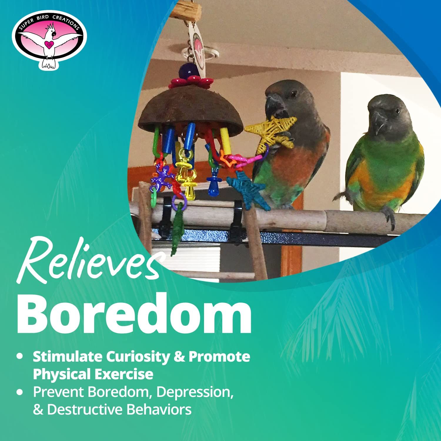 Super Bird Creations SB896 Seeing Stars Bird Toy - Interactive Foraging Toy, Ideal for Parrotlets, Parakeets, Cockatiels, Stimulates Mental and Physical Activity - Small/Medium Bird Size, 9.5" x 3.5"