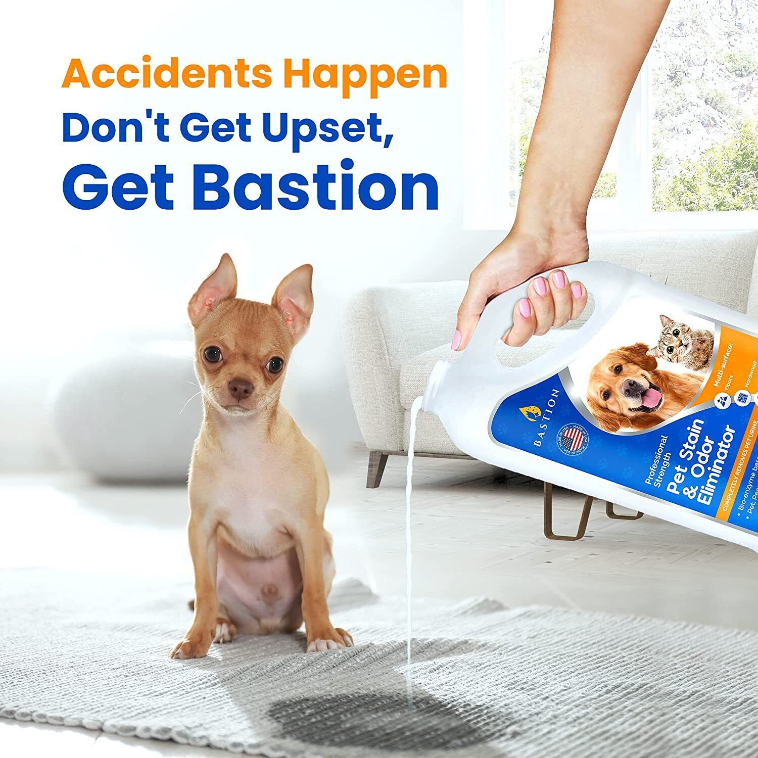 Pet Stain Remover & Odor Eliminator Spray - Enzyme Powered Carpet Cleaner