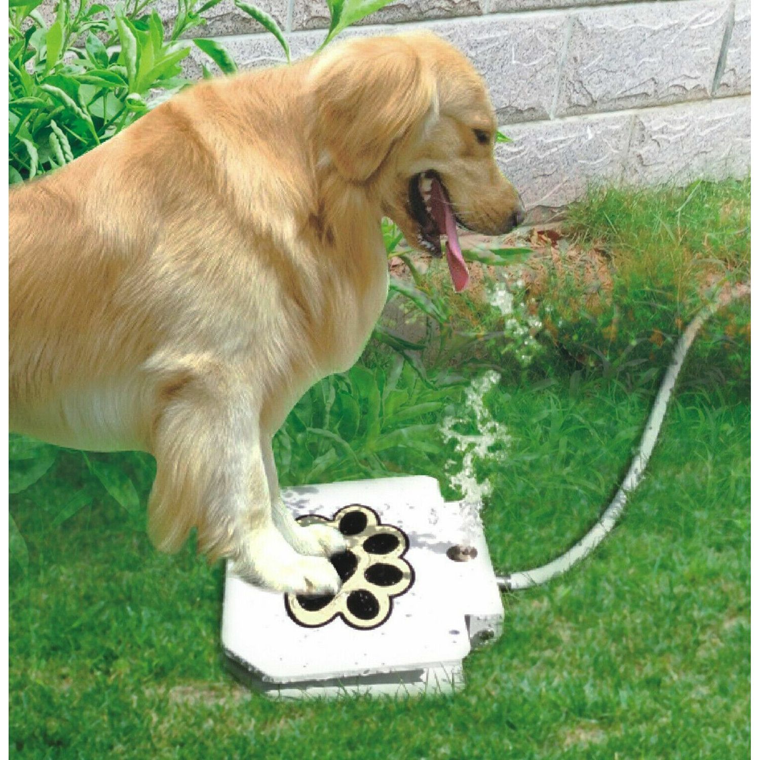 Dog Water Fountain Step-on Activated Sprinkler Toy for Drinking Fresh Water
