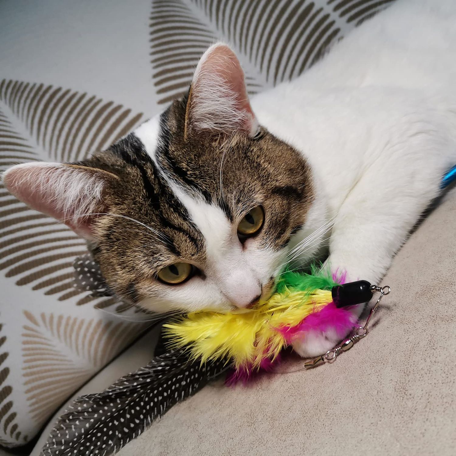 TIENAILING Cat Feather Toys Refills Cat Wand Replacement Feathers, 10 PCS Feather Cat Toy Refills, Cat Toy Wand Attachments Feathers for Cat Toys