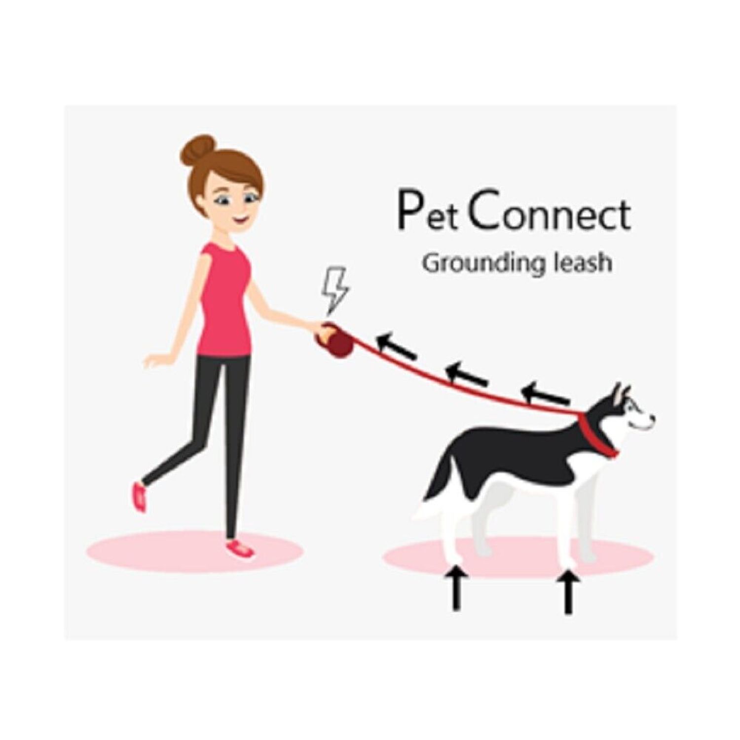 Grounding / Earthing Pet Leash and Collar, with Copper Cord - by PET CONNECT