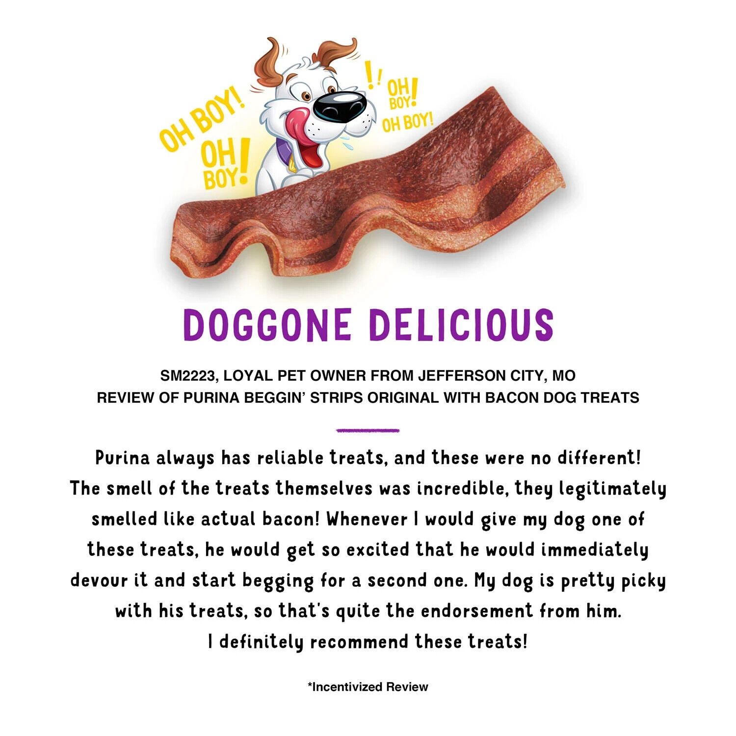 Purina Beggin' Strips Real Meat Dog Treats,Bacon&Bacon+Cheese Flavors 32 oz,2 pk
