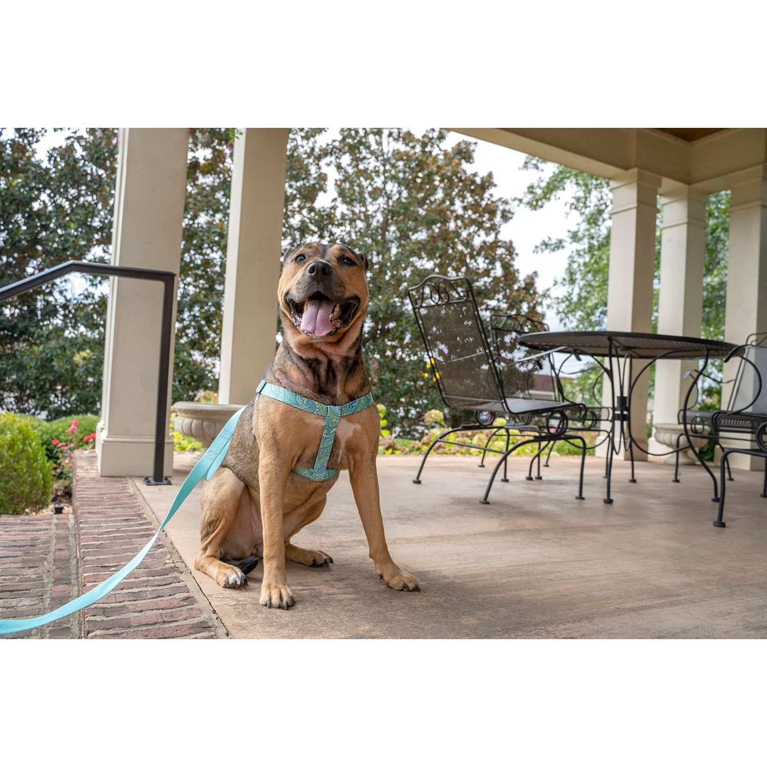 Country Brook Petz - Green Paisley Step-in Dog Harness - Paisley Collection with 5 Classy Designs (1 Inch, Medium)