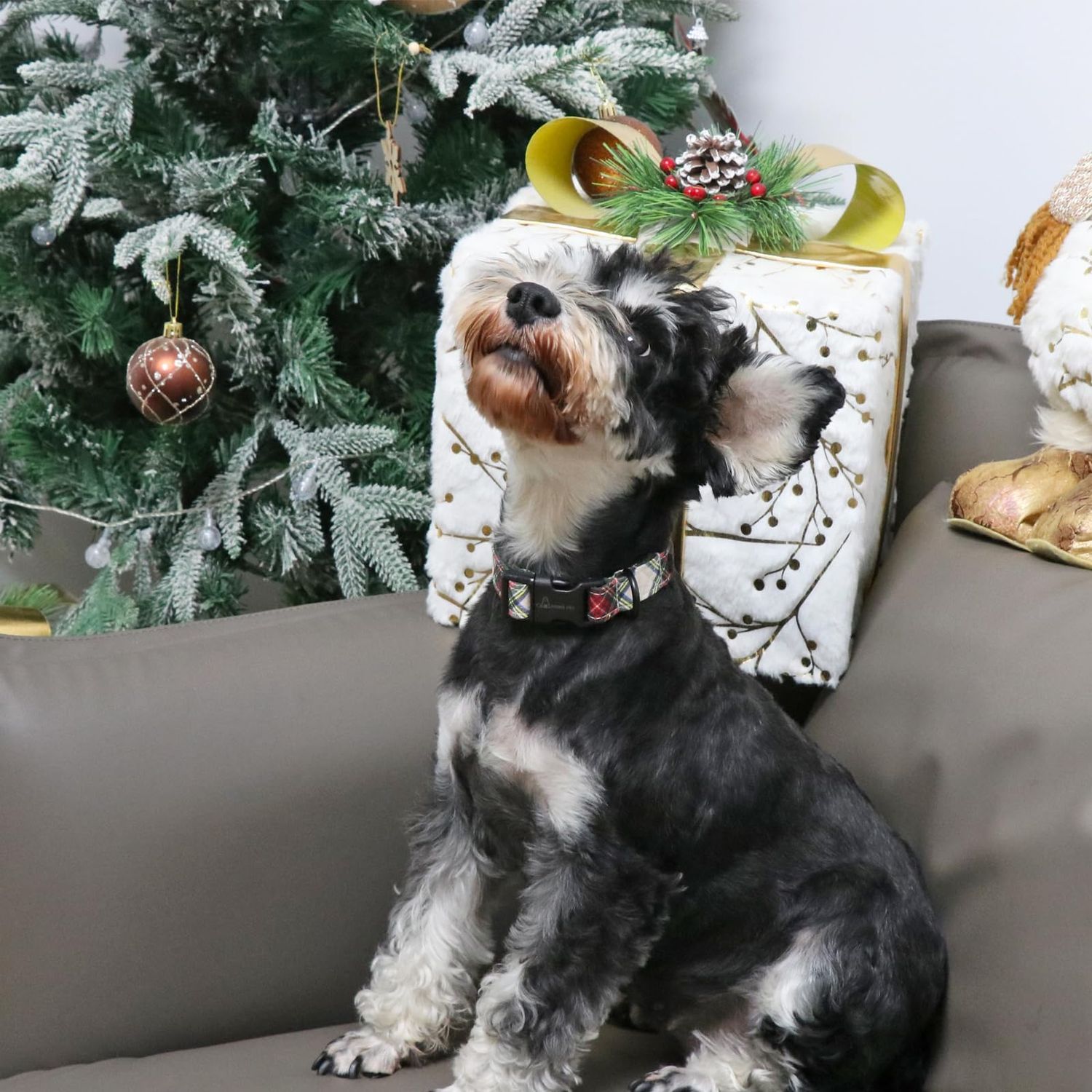ARING PET Christmas Dog Collar Cute Plaid Dog Collar, Cotton Lightweight Christmas Small Dog Collars Puppy Collar for Small Medium Large Dogs