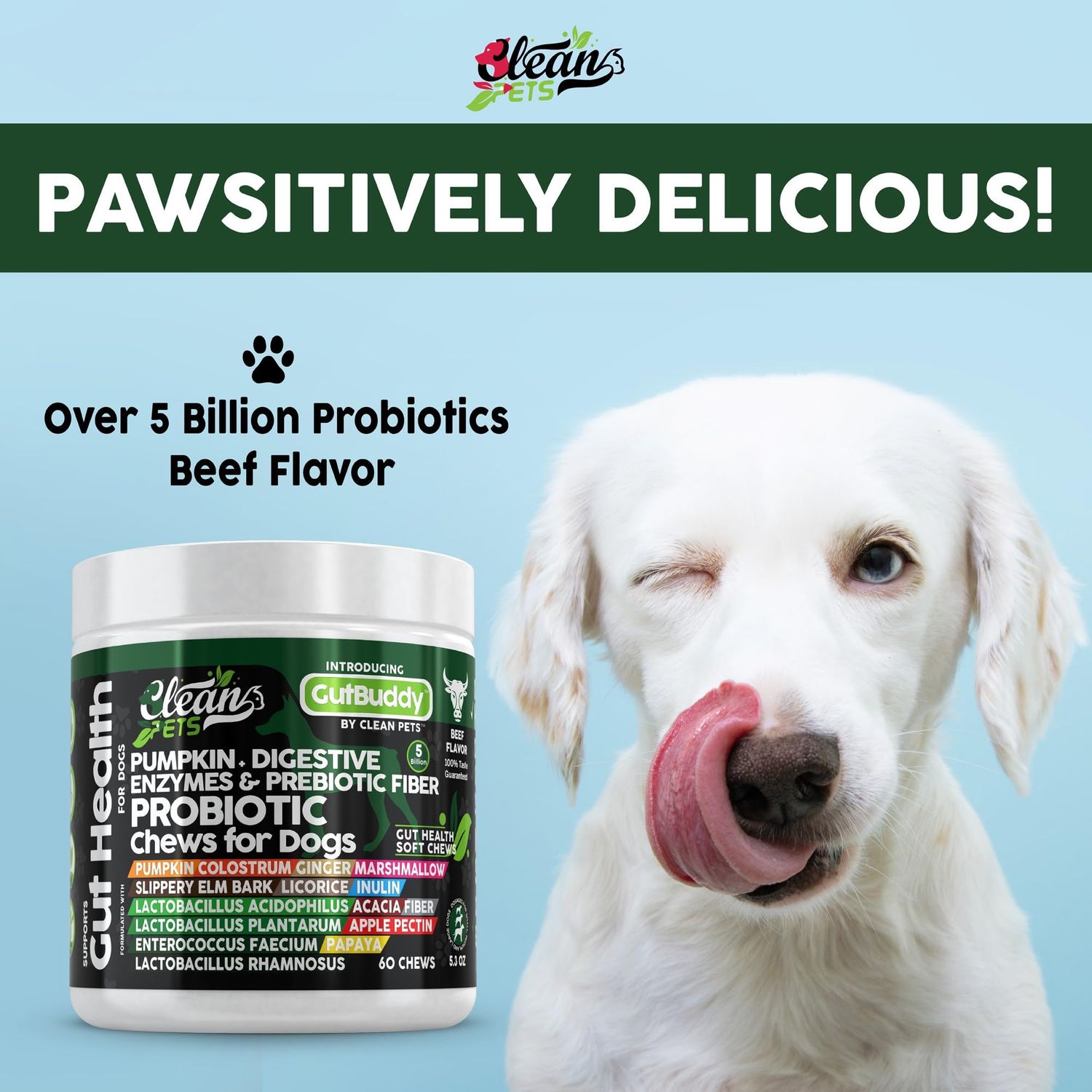 Clean Pets Probiotics for Dogs with Pumpkin, Colostrum, Digestive Enzymes, Ginger, Slippery Elm, Licorice, Inulin Fiber & More | Beef Flavor Soft Chews for Gut Health and Digestion Dog Supplement