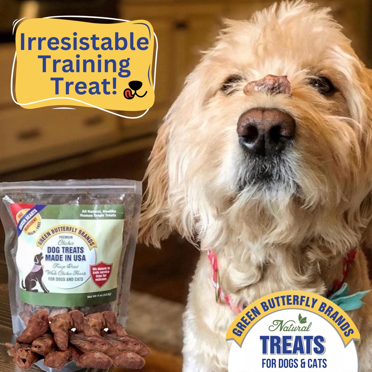 Green Butterfly Brands Freeze Dried Chicken Heart Dog Treats Made In USA. All Natural Freeze-Dried Raw Snacks for Dogs and Cats. One Ingredient. High Protein. Heart Health. Irresistible Training Treat