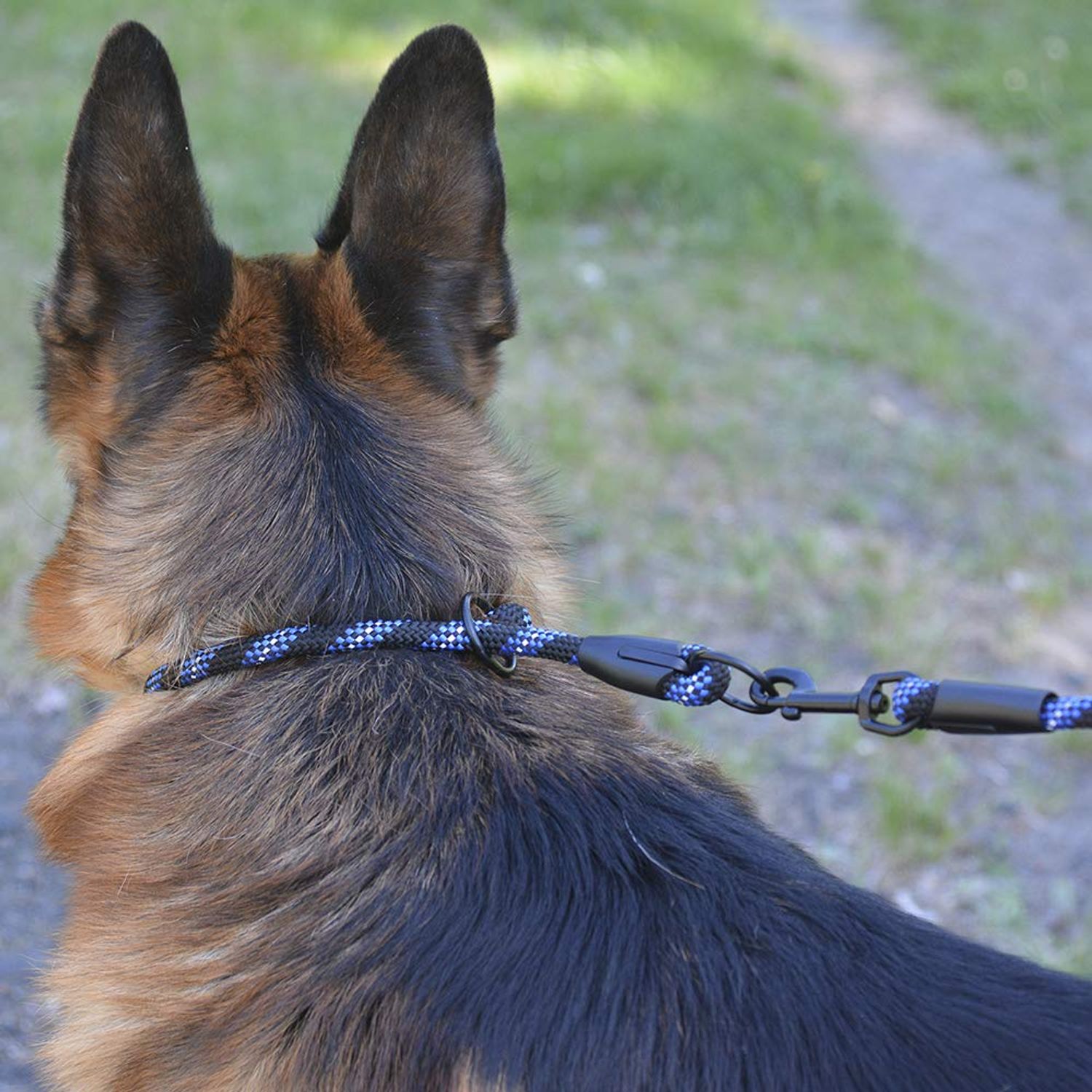 BronzeDog Rope Pro Training Dog Collar Braided No Pull Quick Release Round Lead Collars for Dogs Small Medium Large Puppy (M - 19.7" Long, Blue)