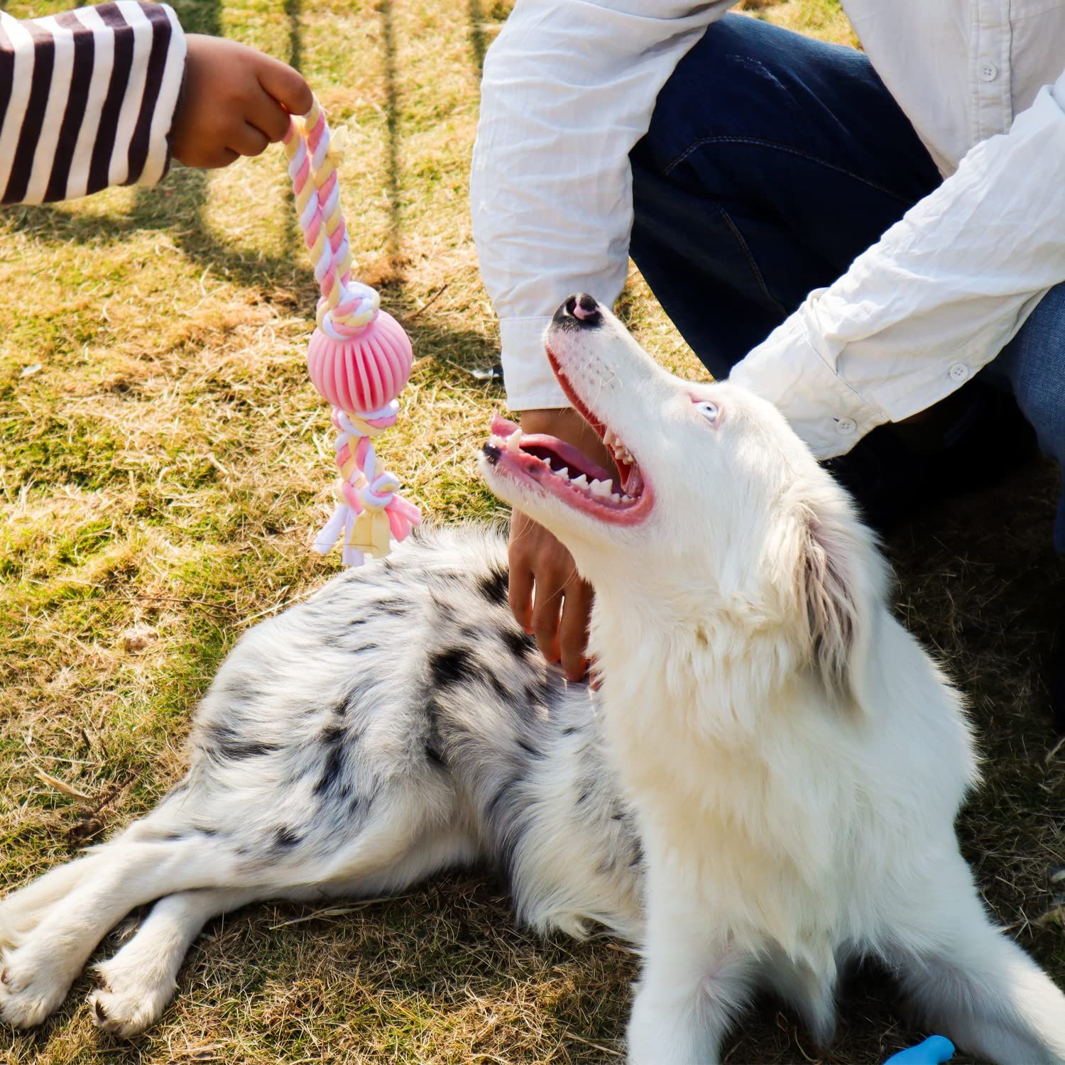 VIMIGOO Latex Dog Chew Toy,Rope and Ball Dog Toy,Dog Toy for Dog Training, Exercise, Agility, Chase (Ball)