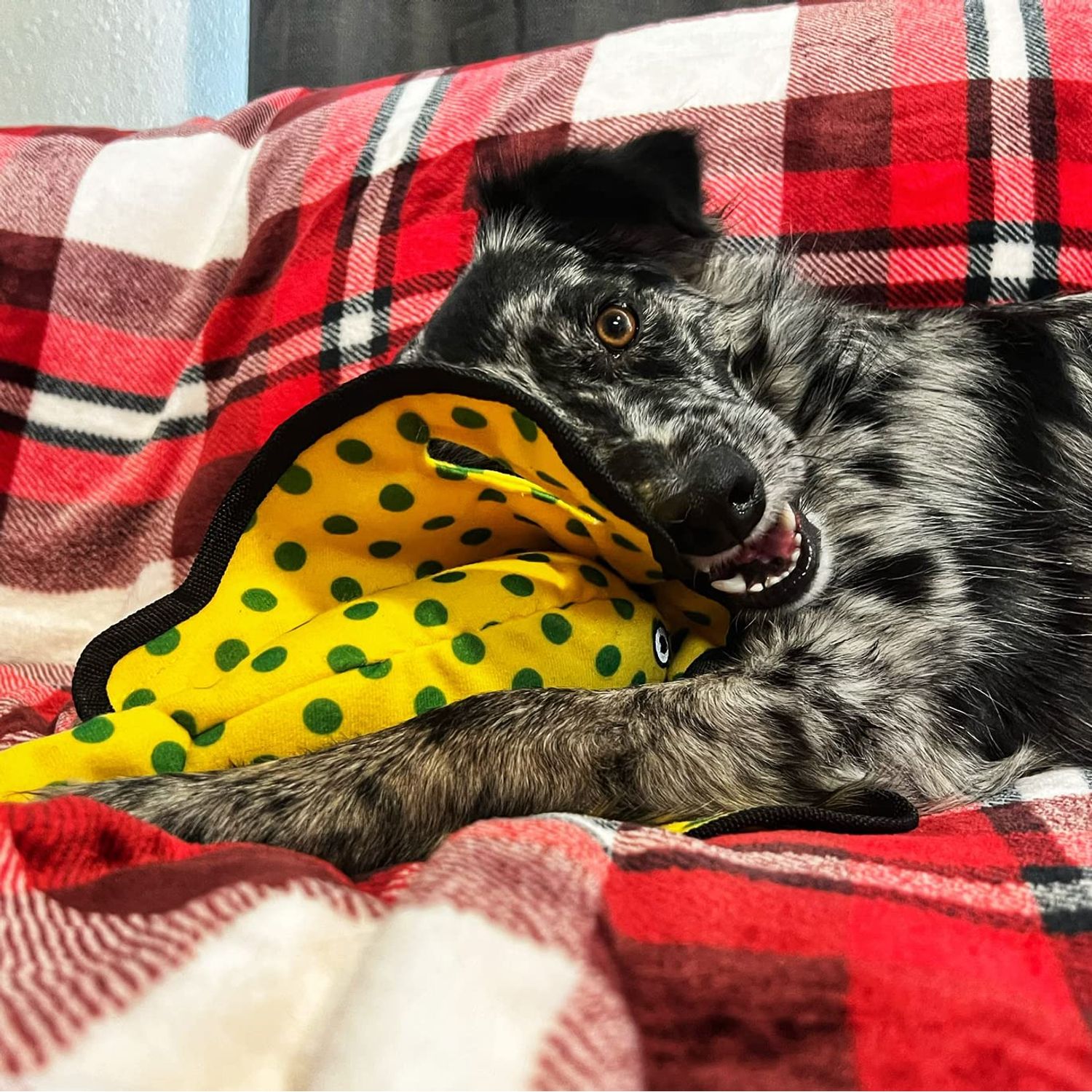 SmartPetLove Snuggle Puppy Tender-Tuffs - Yellow Stingray Tug of War Plush Dog Toy - Great for Play and Interaction with Puncture Resistant Squeaker