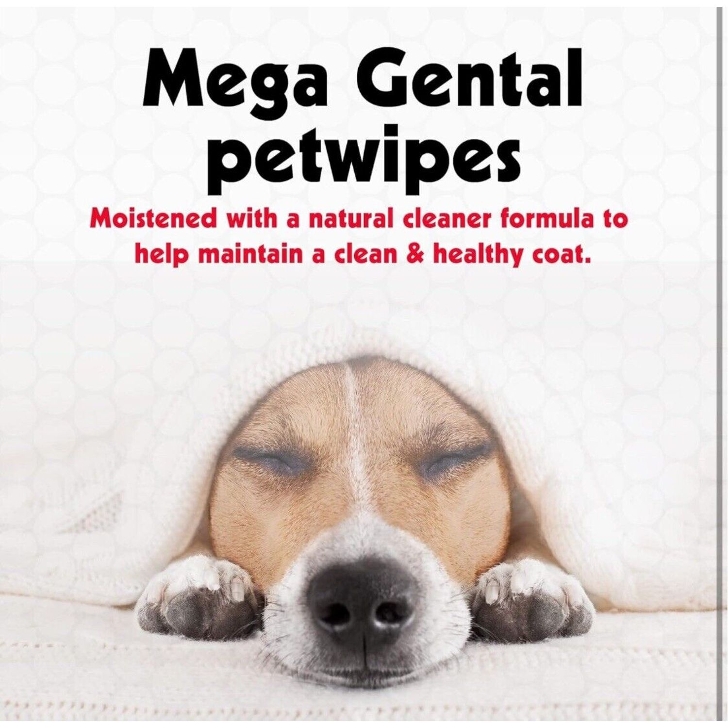 PetWipes 200 Grooming Pet Wipes for Dogs & Cats for Face Paws Ears Eyes Body