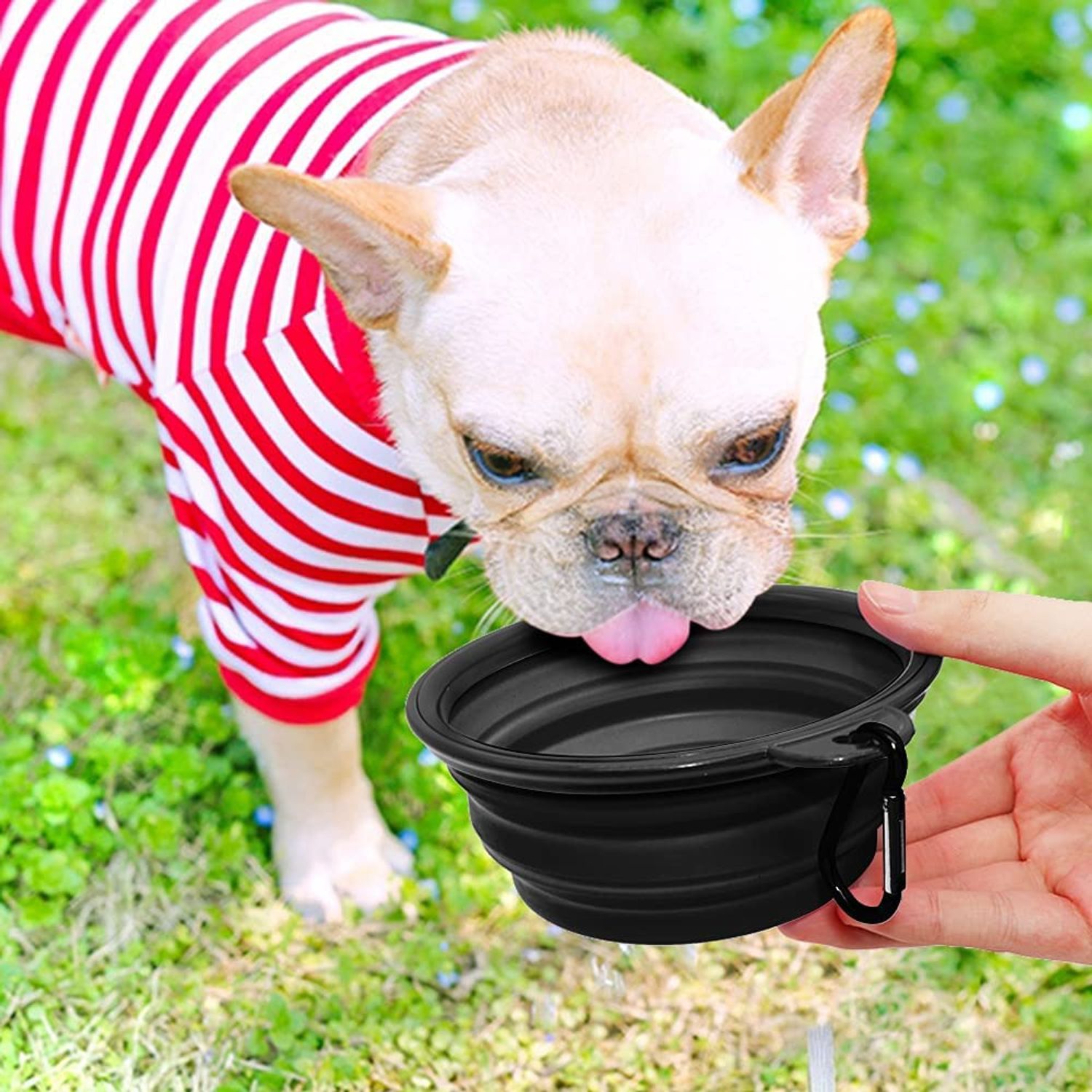 5" Portable & Foldable Small Dog Bowl - Black (5 Pack) - Compact Travel Pet Bowl