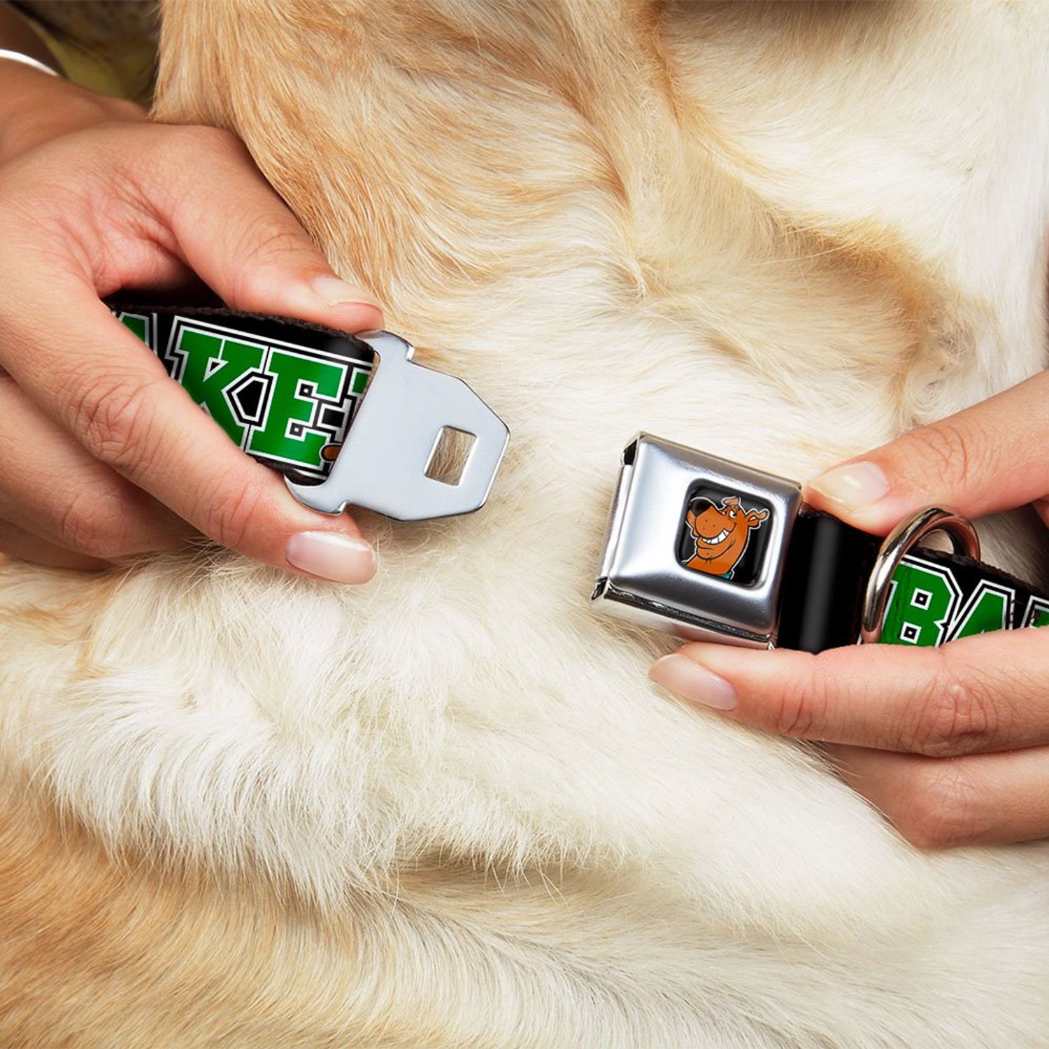 Buckle-Down Seatbelt Buckle Dog Collar - Scooby Doo & Shaggy Pose/BAKED Black/Green - 1" Wide - Fits 9-15" Neck - Small