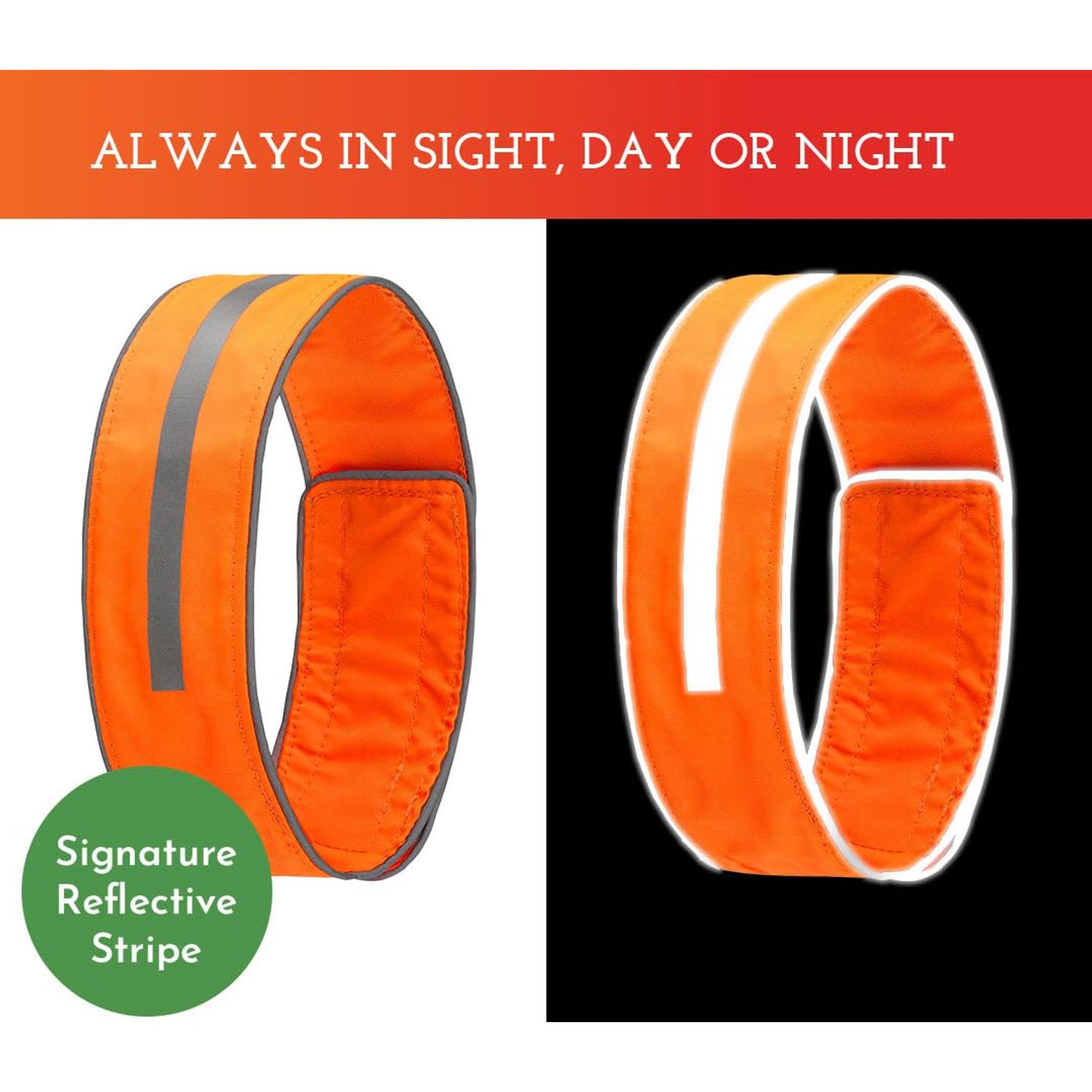 SPOT THE DOG! Reflective Dog Collar - Adjustable Pet Collars, Safe, Durable, Comfortable Dog Walking Accessories for Small Dog, Hunting Dog, Puppy, Lightweight Boy, Girl Dog Collars (Blaze Orange, S)