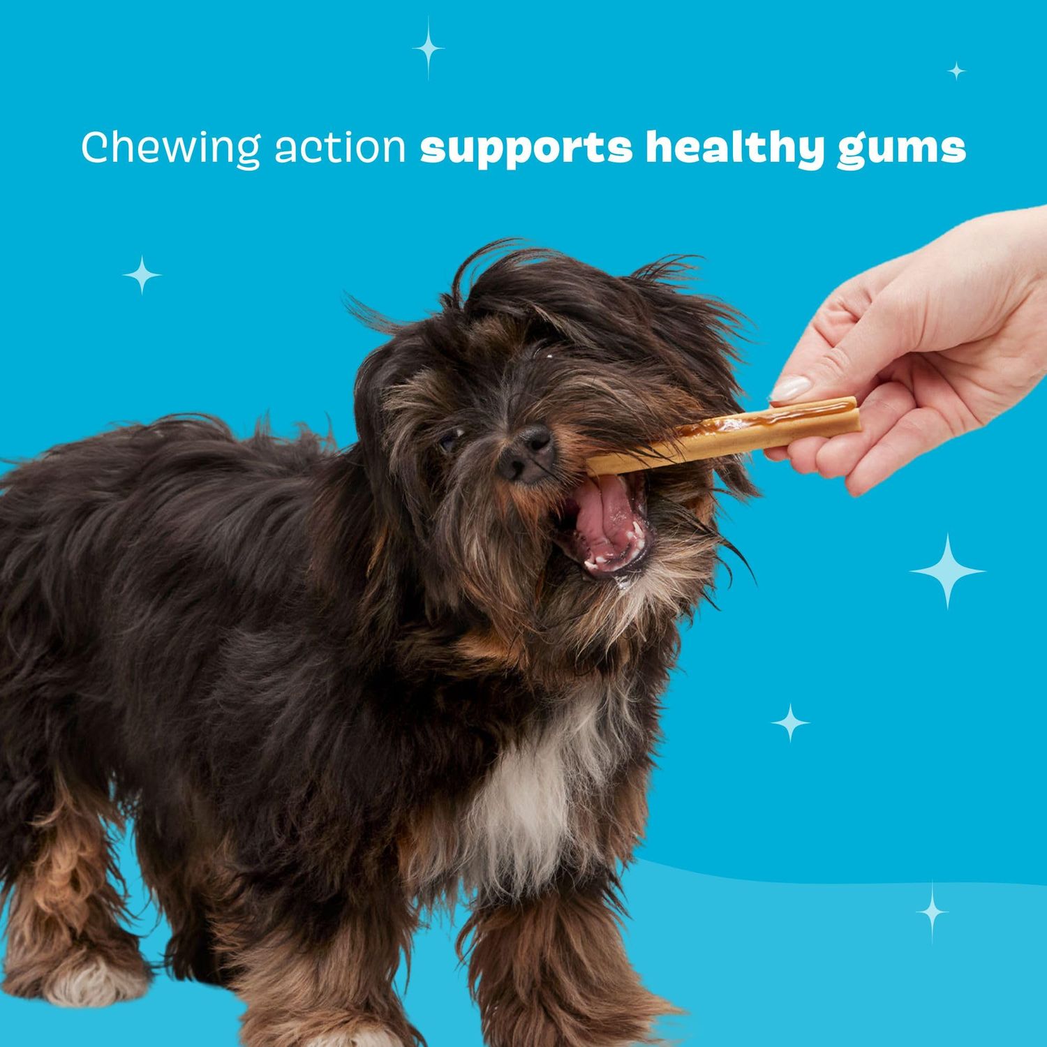 Barkbox Bright Original Dog Dental Chew Sticks, Plaque and Tartar Cleaning - Small Breeds (30 Chews)