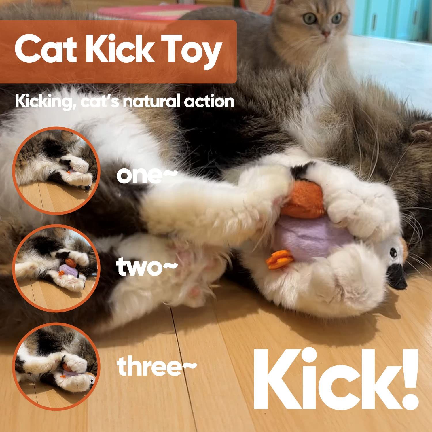 PETFUTURE Cat Toys for Indoor Cats,Interactive Chirping Bird Cat Toys with Catnip and Feather, Kitten Toys, DIY Cat Wand Toys Hanging from Door Cat Tree Cat Tower Toy for Indoor Cats