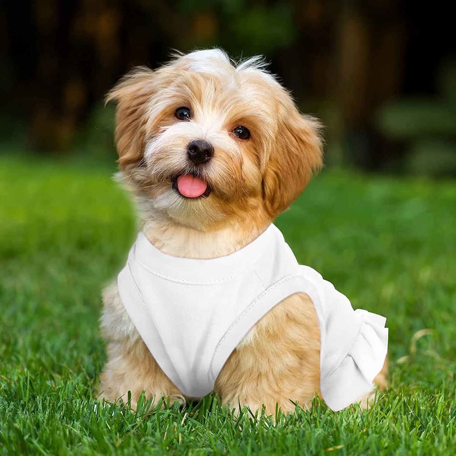 Let's Go Camping Dog Sundress - Tent Dog Dress Shirt - Camping Dog Clothing - White, S