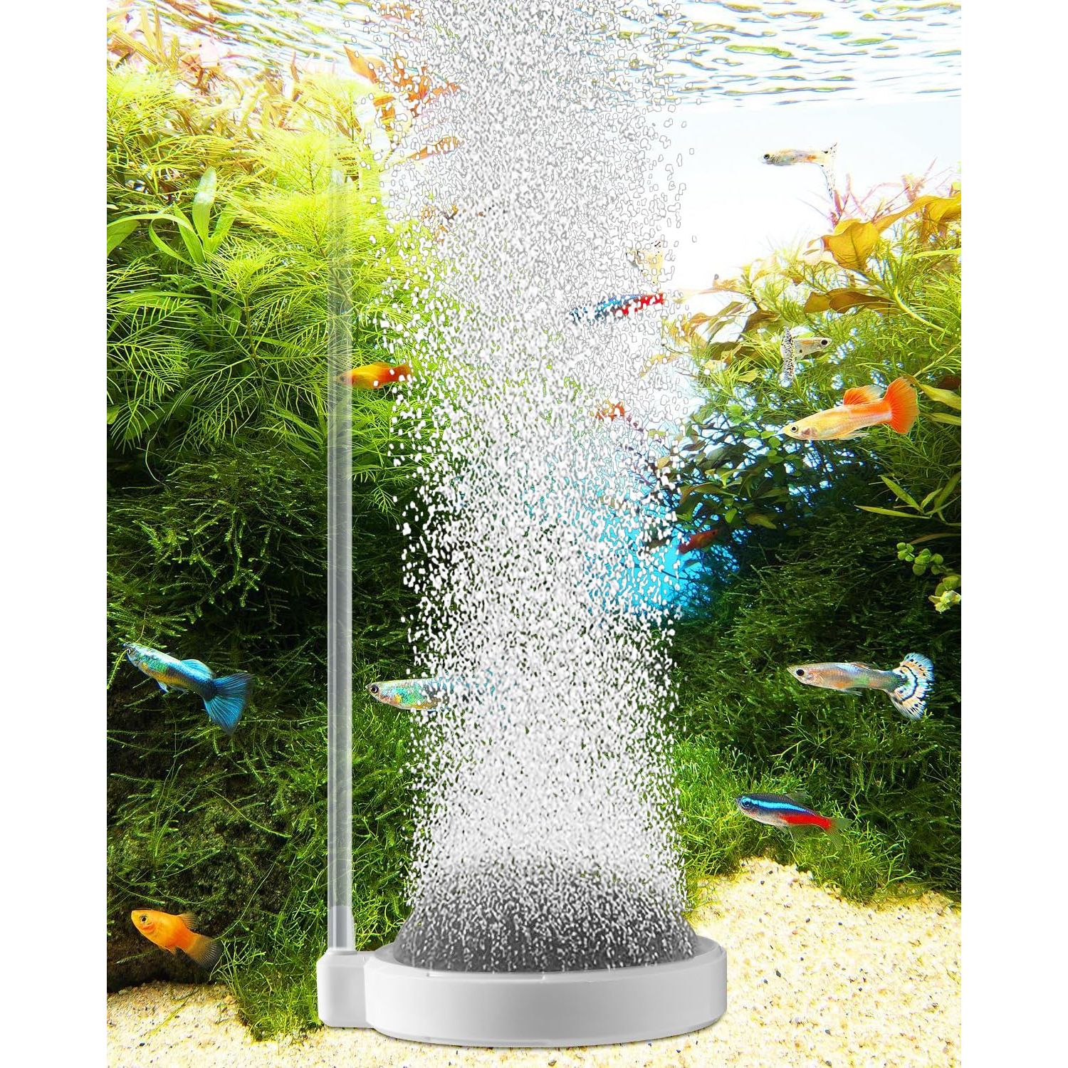 BLOTFISH Air Stone for Aquarium Fish Tank Bubbler, 3.2 Inch Nano Air Bubble Stone Aerator Accessories Bubbler for Fish Tank Air Pump Hydroponics