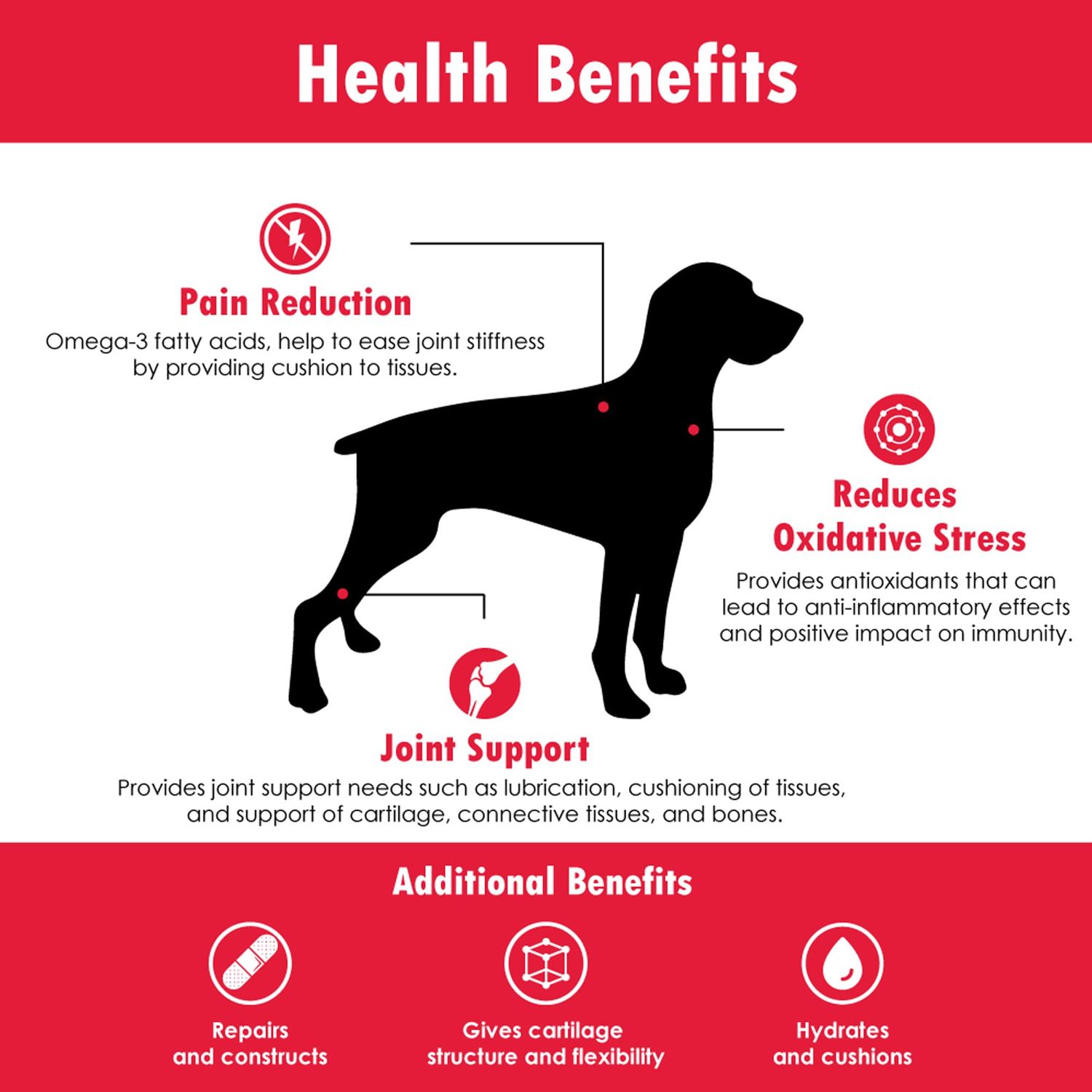 Joint MAX Double Strength Soft Chews for Dogs - Vitamins, Minerals, Antioxidants - Glucosamine, Chondroitin - Beef Flavor - Maximum Joint Health Supplement - 120 Chews