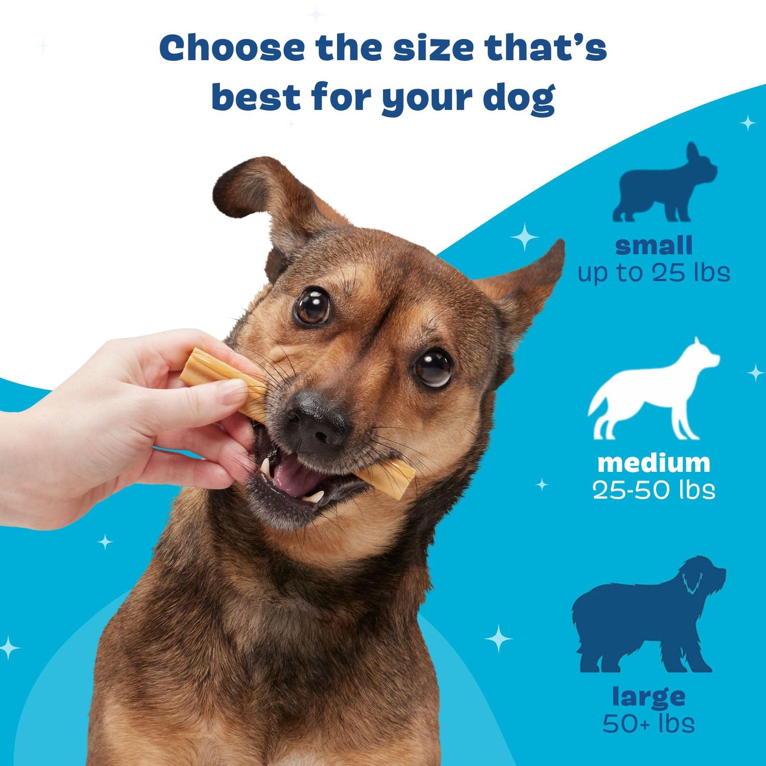 Barkbox Bright Original Dog Dental Chew Sticks Plaque and Tartar Cleaning, Medium Breeds (30 Chews)