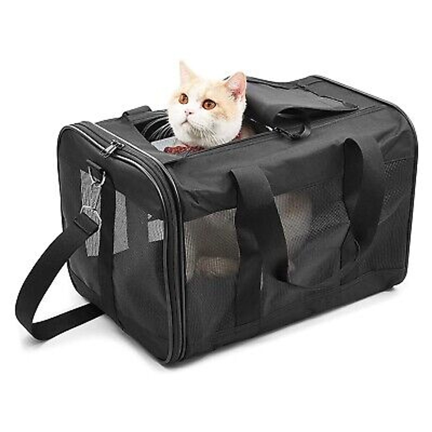 Pet Dog Cat Carrier Bag Soft Sided Collapsible Travel Case Airline Approved
