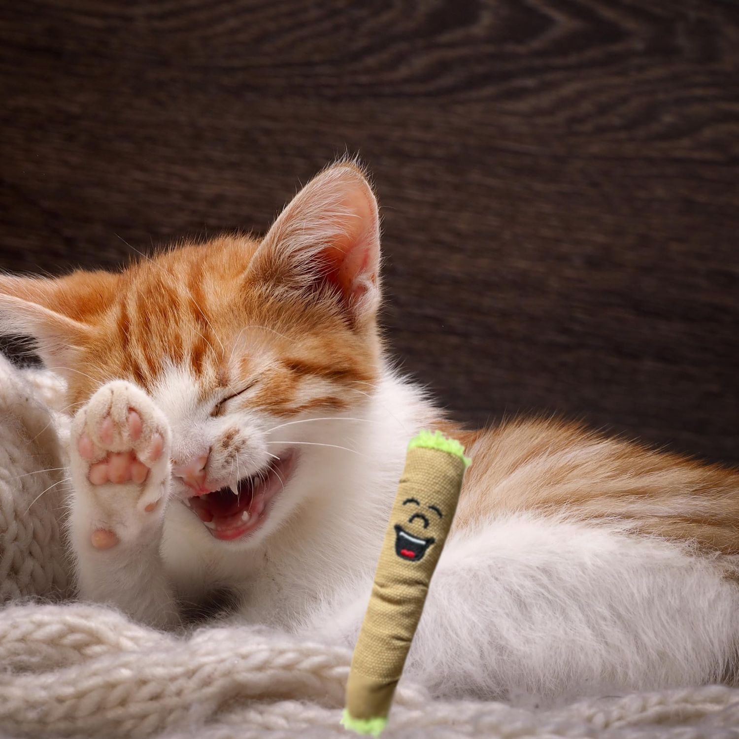 PAW:20 Lil' B The Blunt | Funny Cat Toy | Cool Plush Catnip Toy | Fun Novelty Gift | Play and Funny Photos