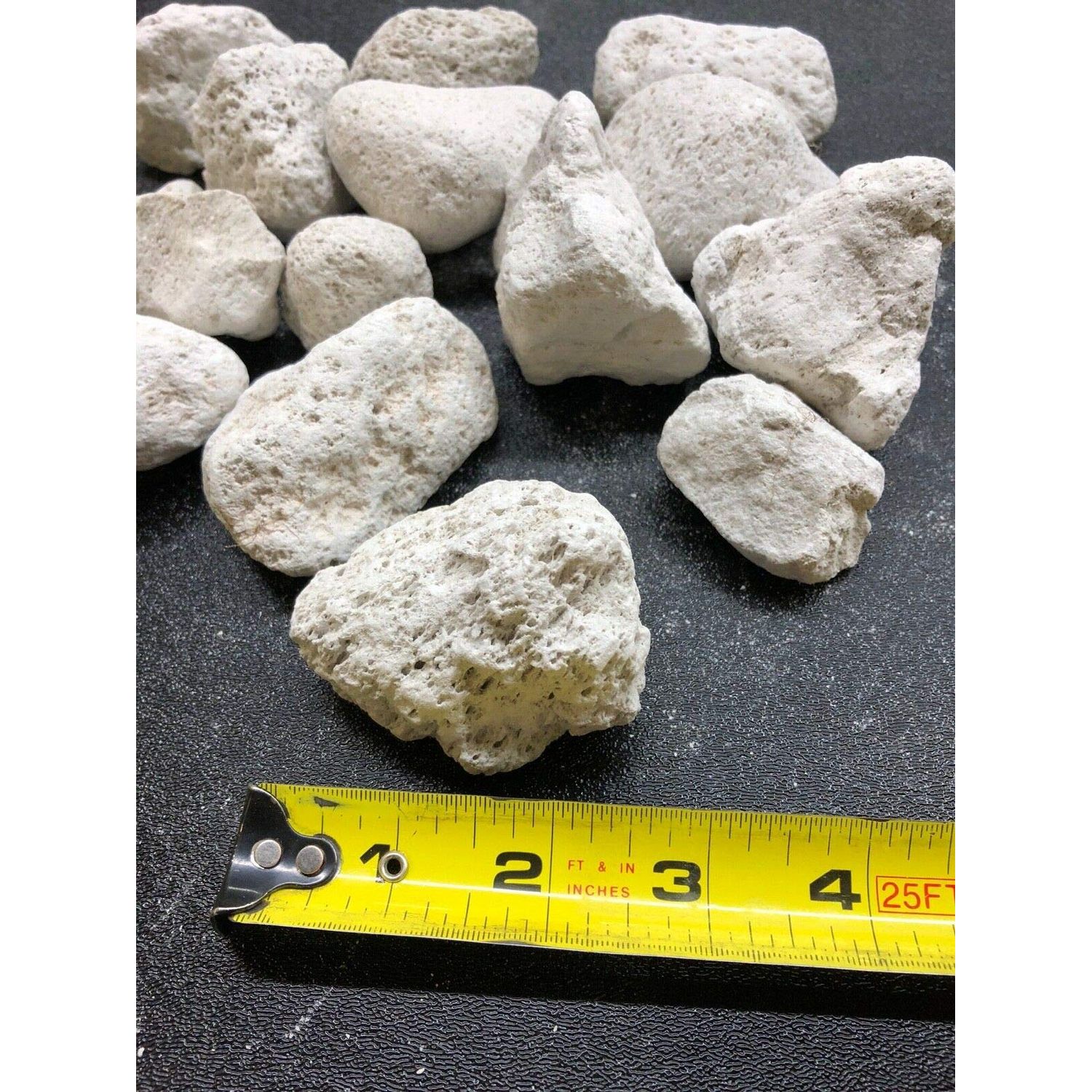 1 Gallon Natural Premium Quality Pumice Filter Media for Koi Pond, Bakki Shower, Fresh Water & Marine Aquariums
