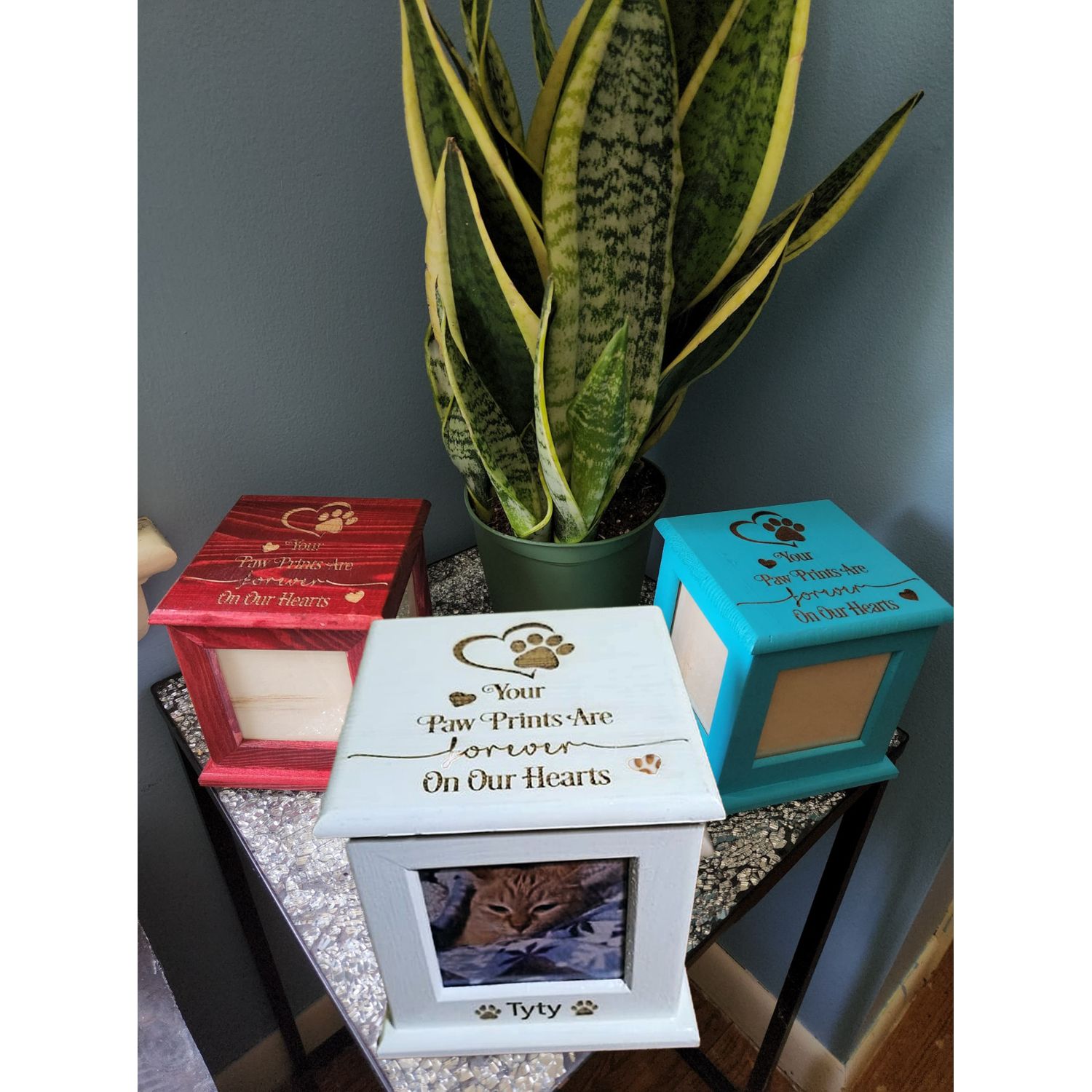 Pet Urn Memorial for Cremation Ashes | Cat Urn & Dog Urn Laser-Engraved ❤️