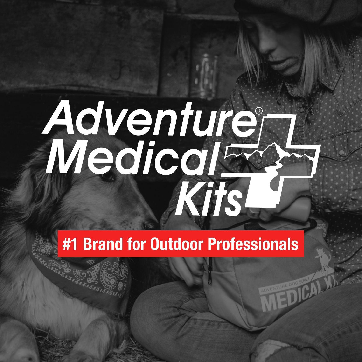 Adventure Dog Medical Kit - Vet in a Box