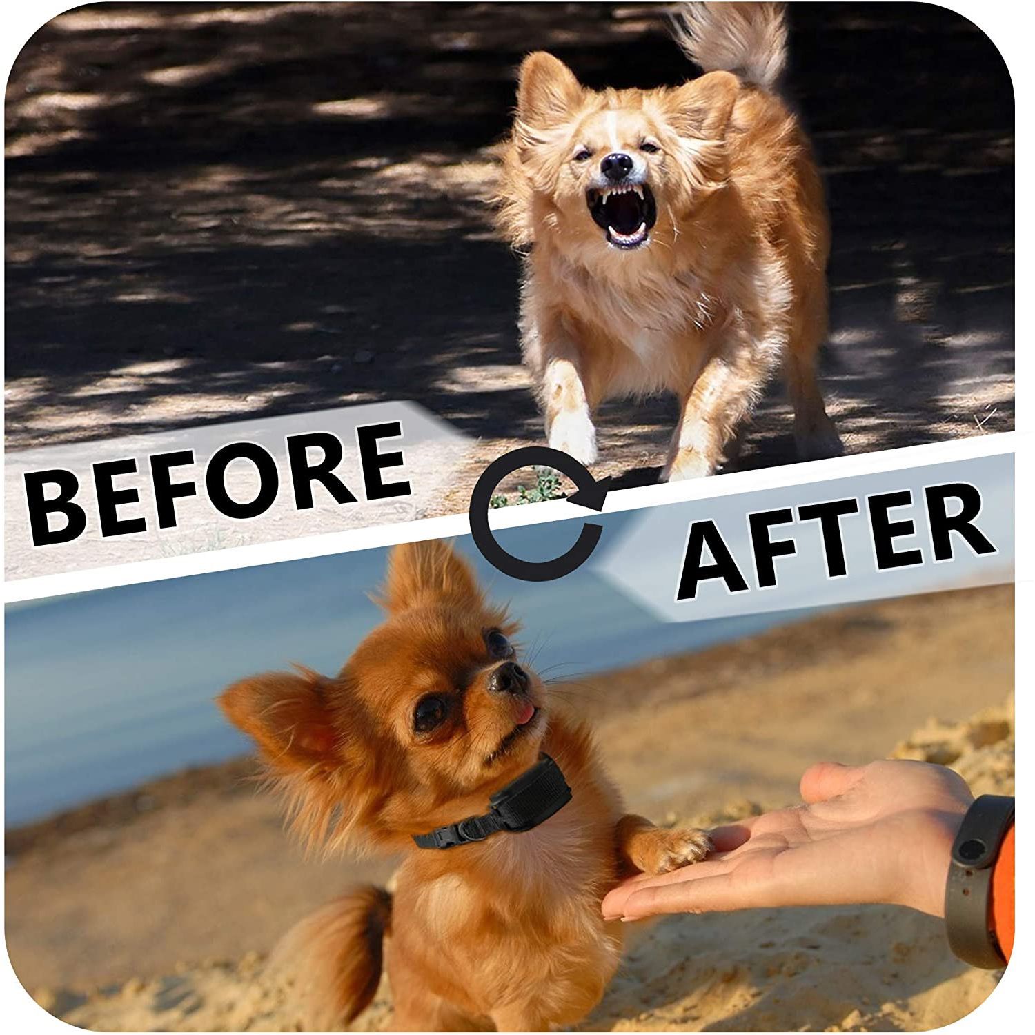 Dog Pet Training Collar with Remote Rechargeable Waterproof Shock Anti Bark