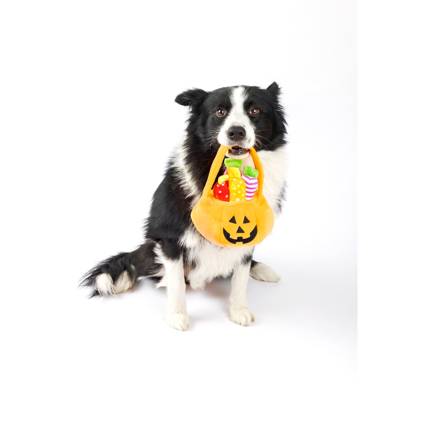 Midlee Find a Toy Halloween Pumpkin Bucket Dog Toy