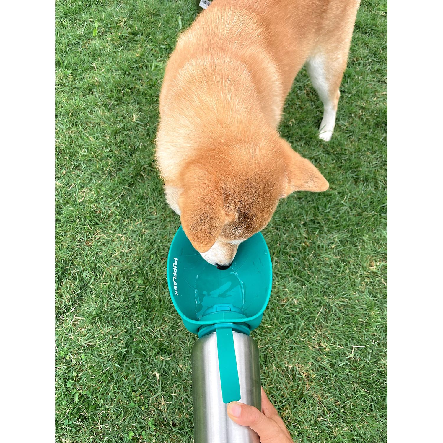 PupFlask Large Dog Water Bottle | 27 or 40 OZ Stainless Steel | Convenient Water Dispenser | Puppy Travel Water Bowl | Portable Pet Leak Proof Bottle Perfect Size For All Dog Breeds