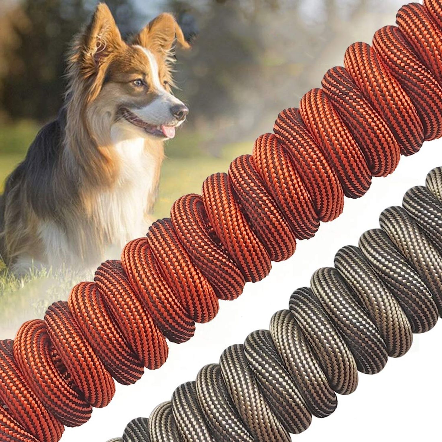 BTINESFUL Tie-Out Check Cord Long Rope Dog Leash, 8ft 12ft 20ft 30ft 50ft Recall Training Lead Leash- Great for Large Medium Small Dogs Training, Playing, Camping, or Backyard (20ft, Orange Black)