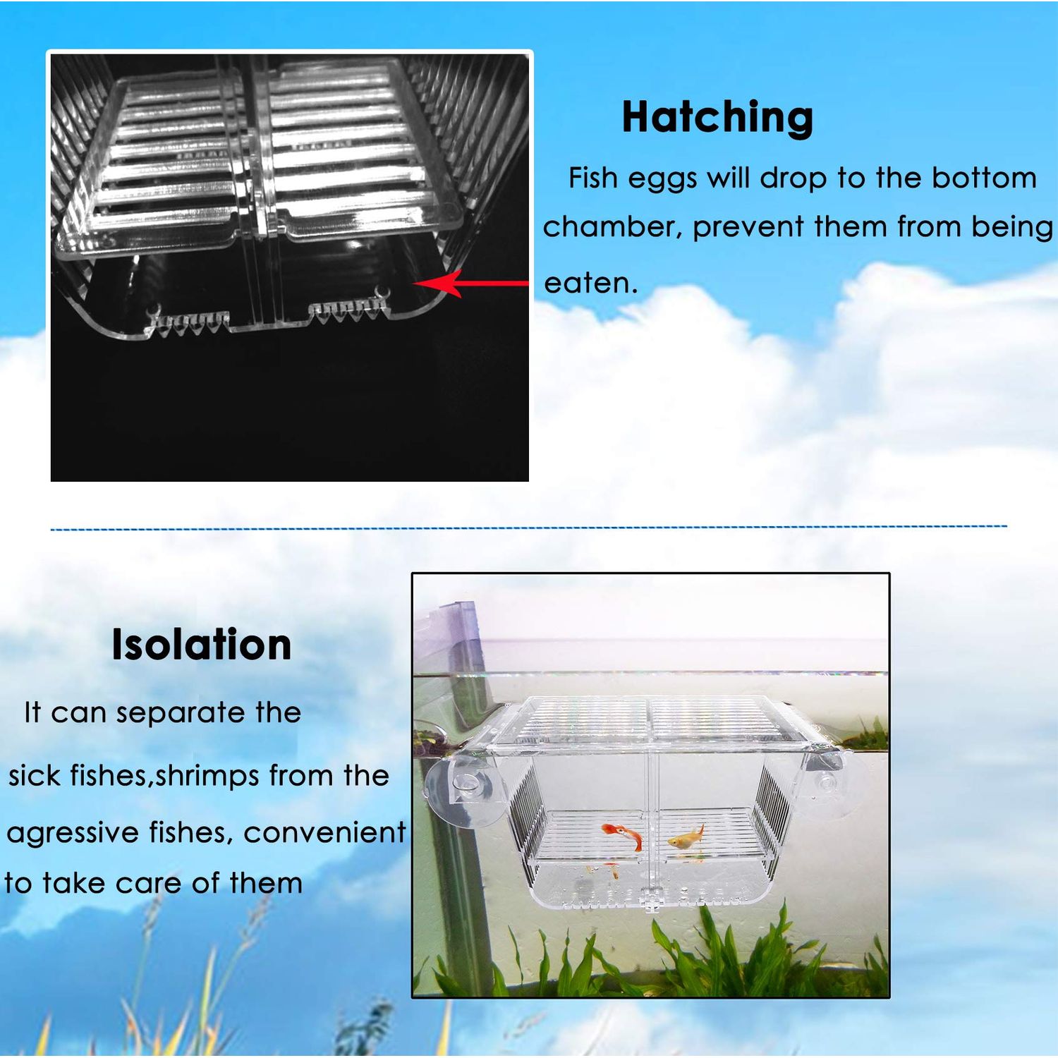 capetsma Fish Breeding Box, Acrylic Fish Isolation Box with Suction Cups, Aquarium Acclimation Hatchery Incubator for Baby Fishes Shrimp Clownfish and Guppy... Small Size (S)